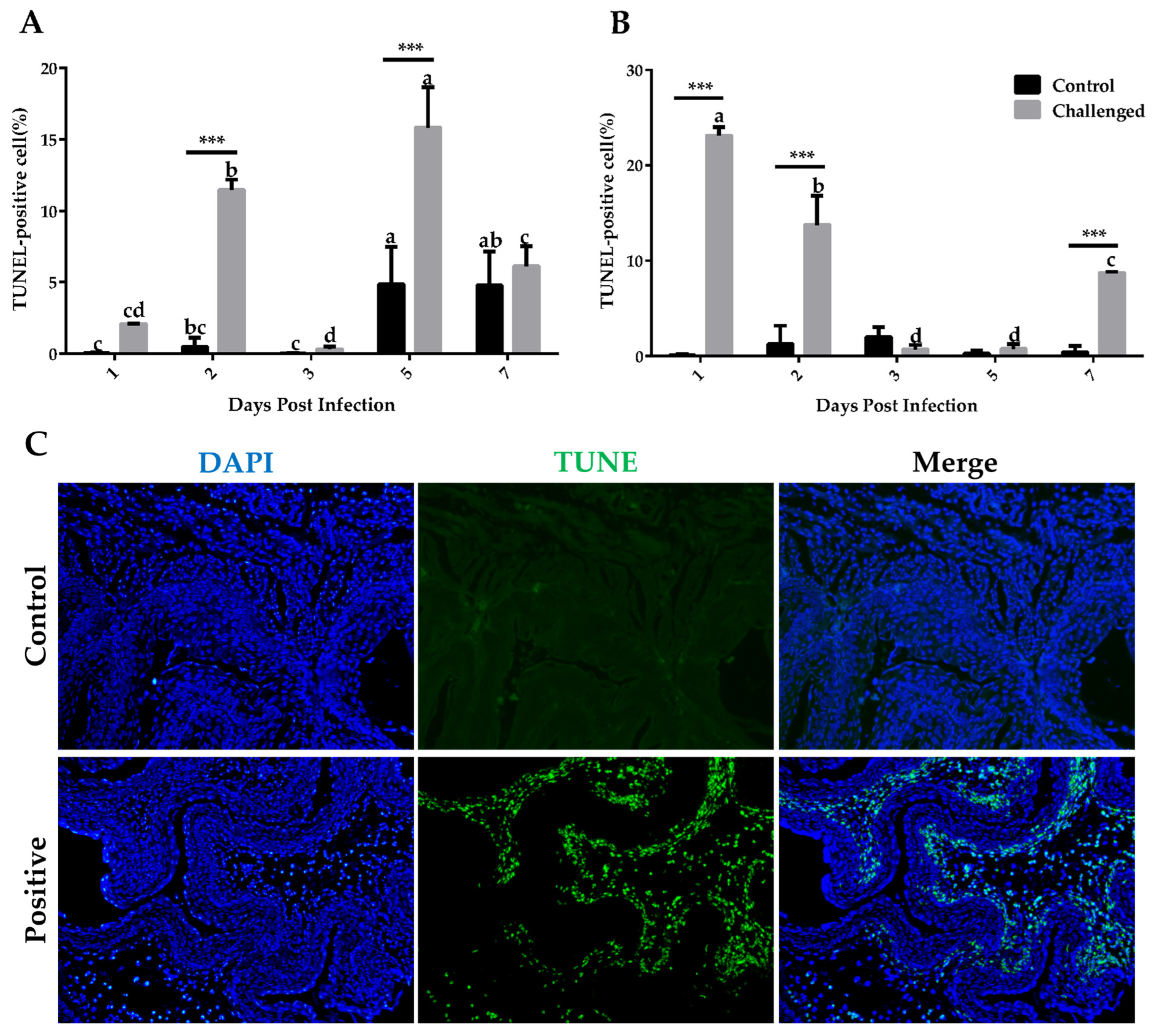 Animals 14 01869 g003