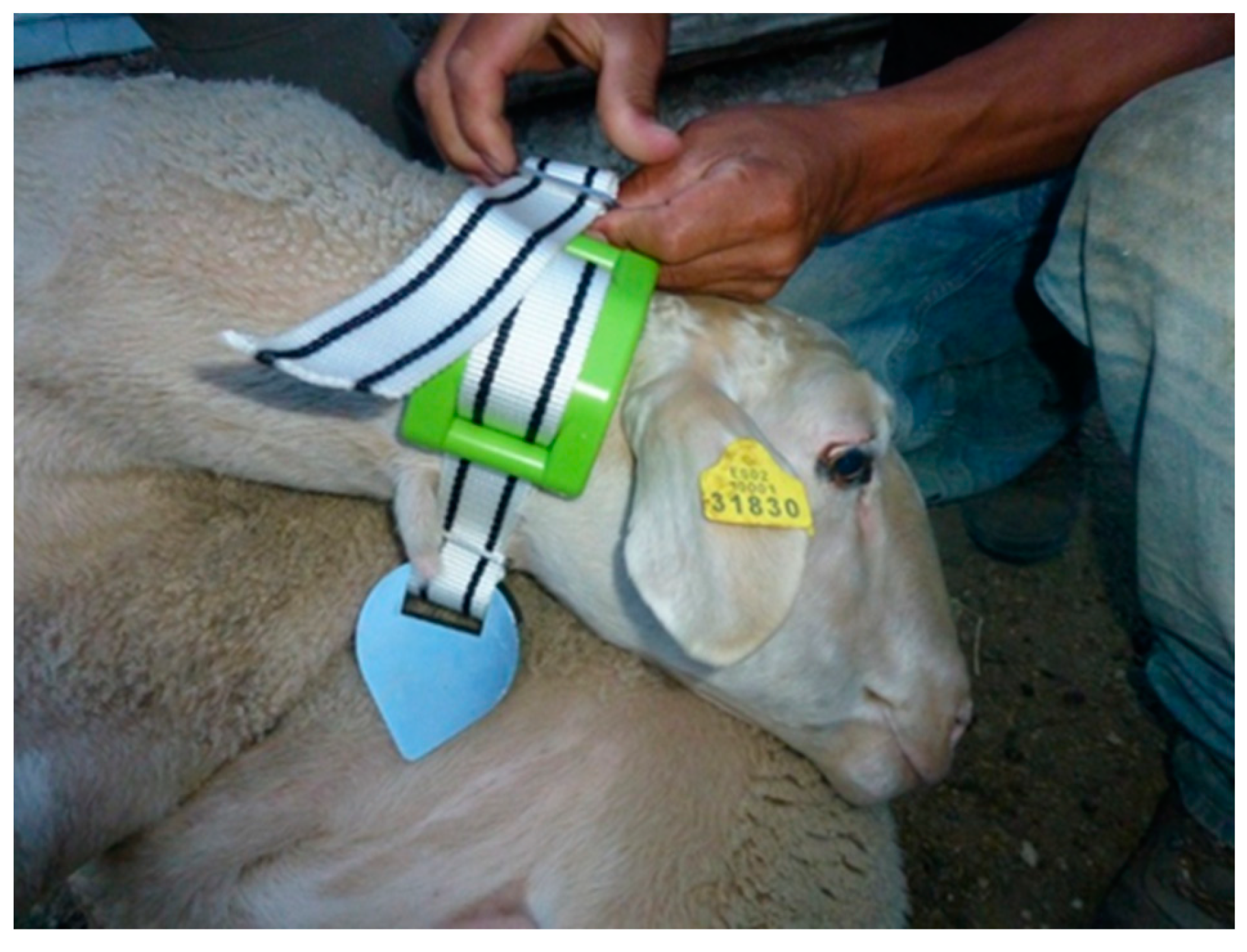 Animals 14 01871 g002 Animals 14 01871 g002