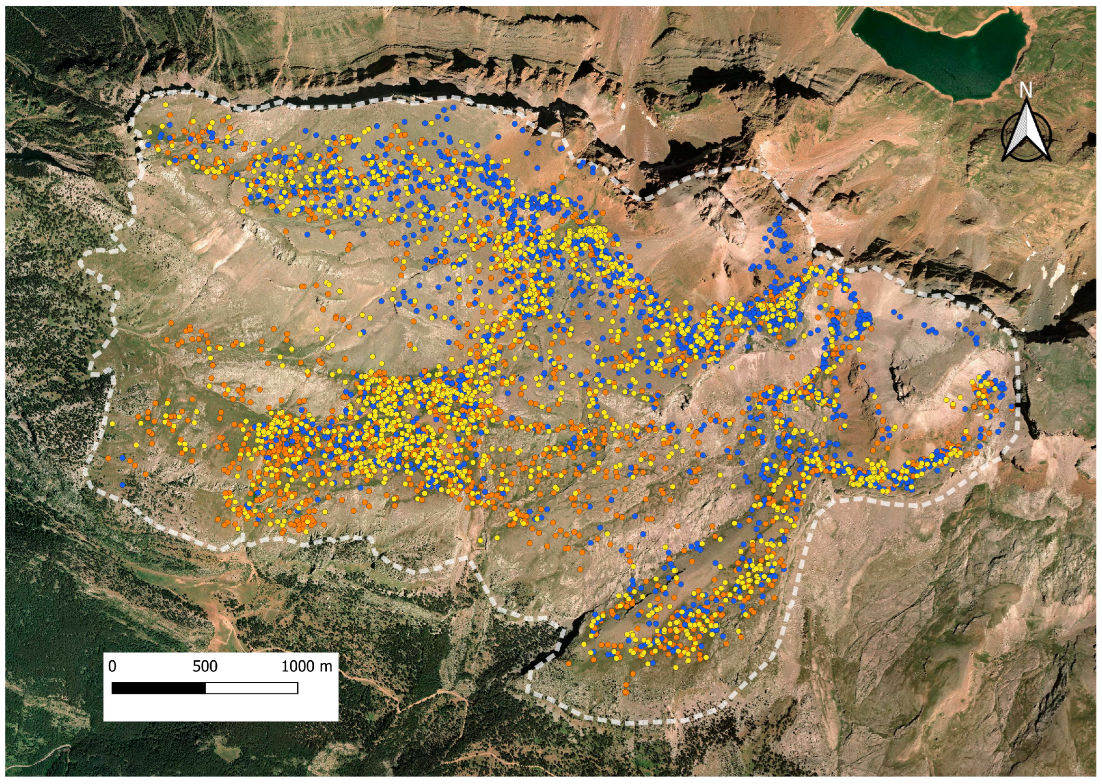 Animals 14 01871 g004 Animals 14 01871 g004