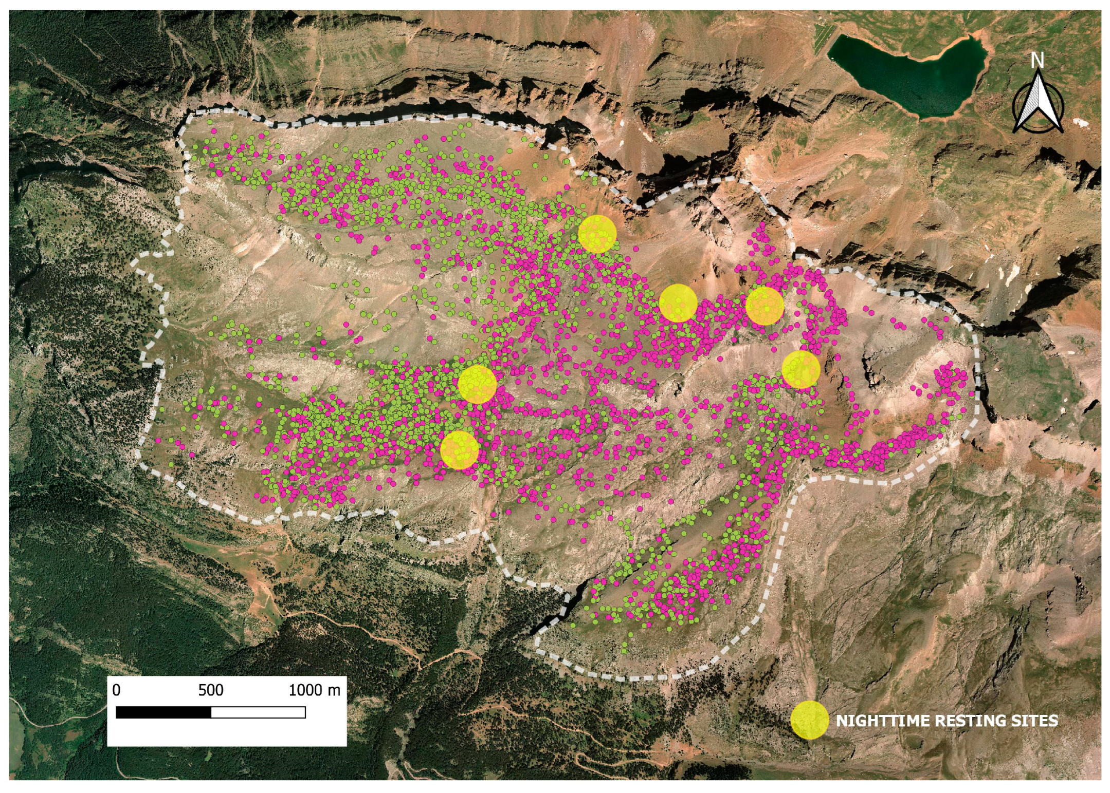 Animals 14 01871 g007 Animals 14 01871 g007