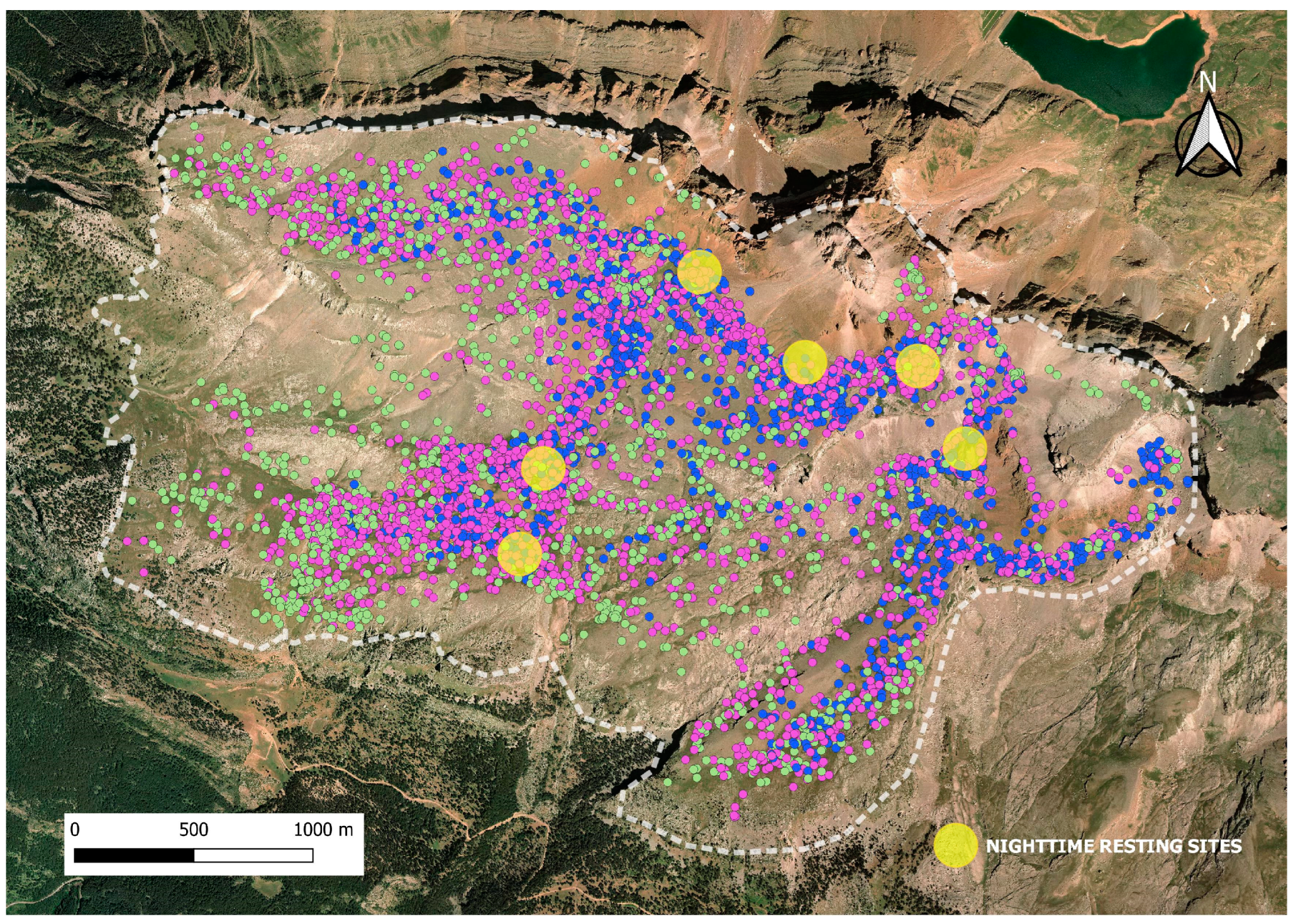 Animals 14 01871 g008 Animals 14 01871 g008