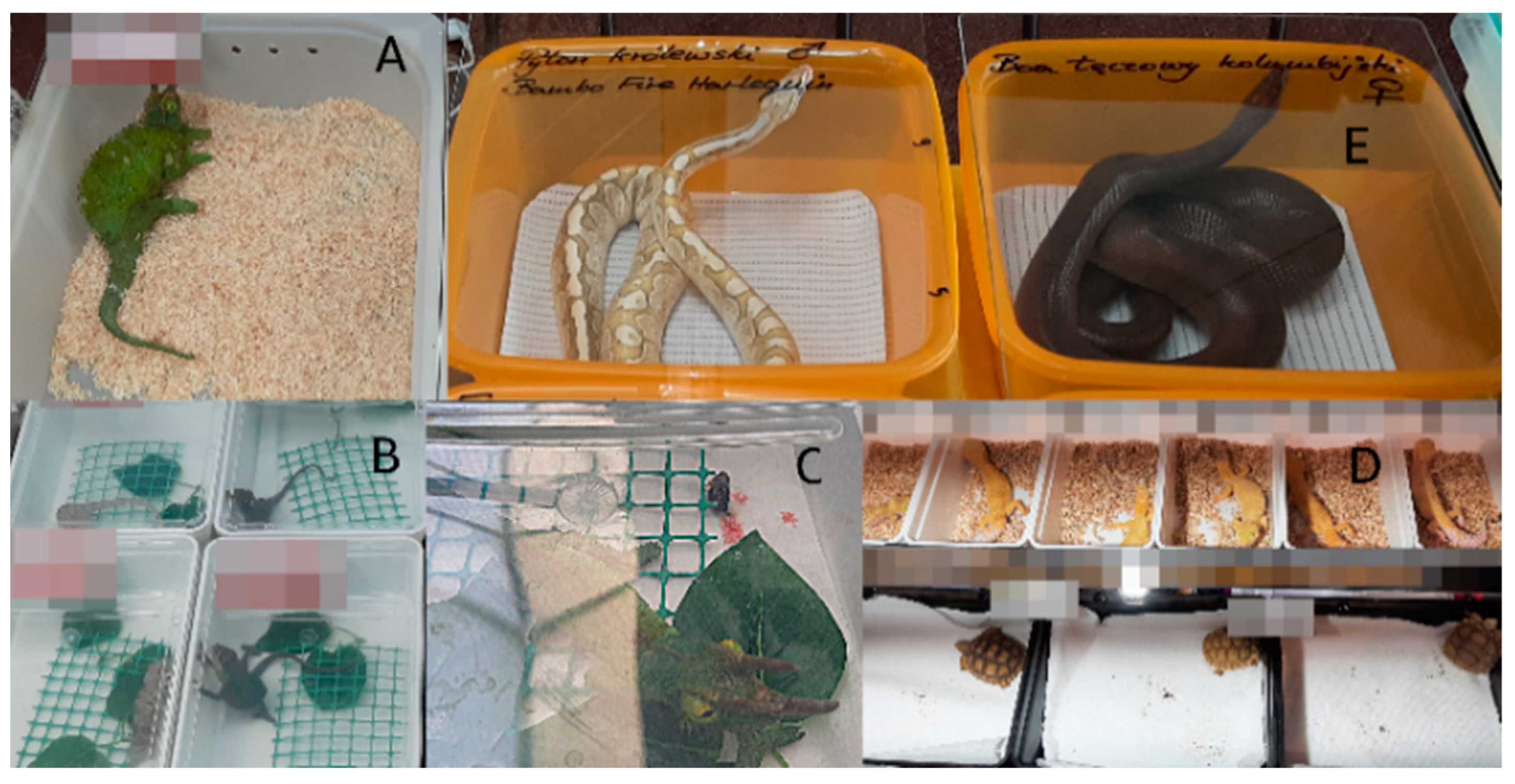 Animals 14 01872 g005