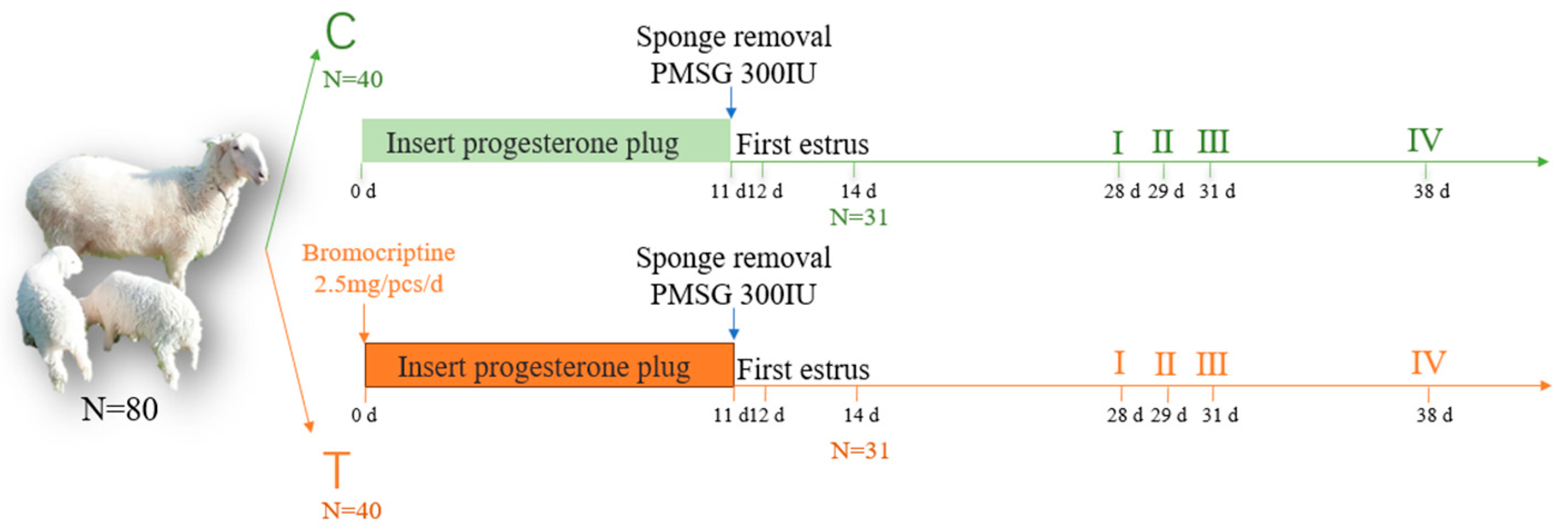 Animals 14 01873 g001