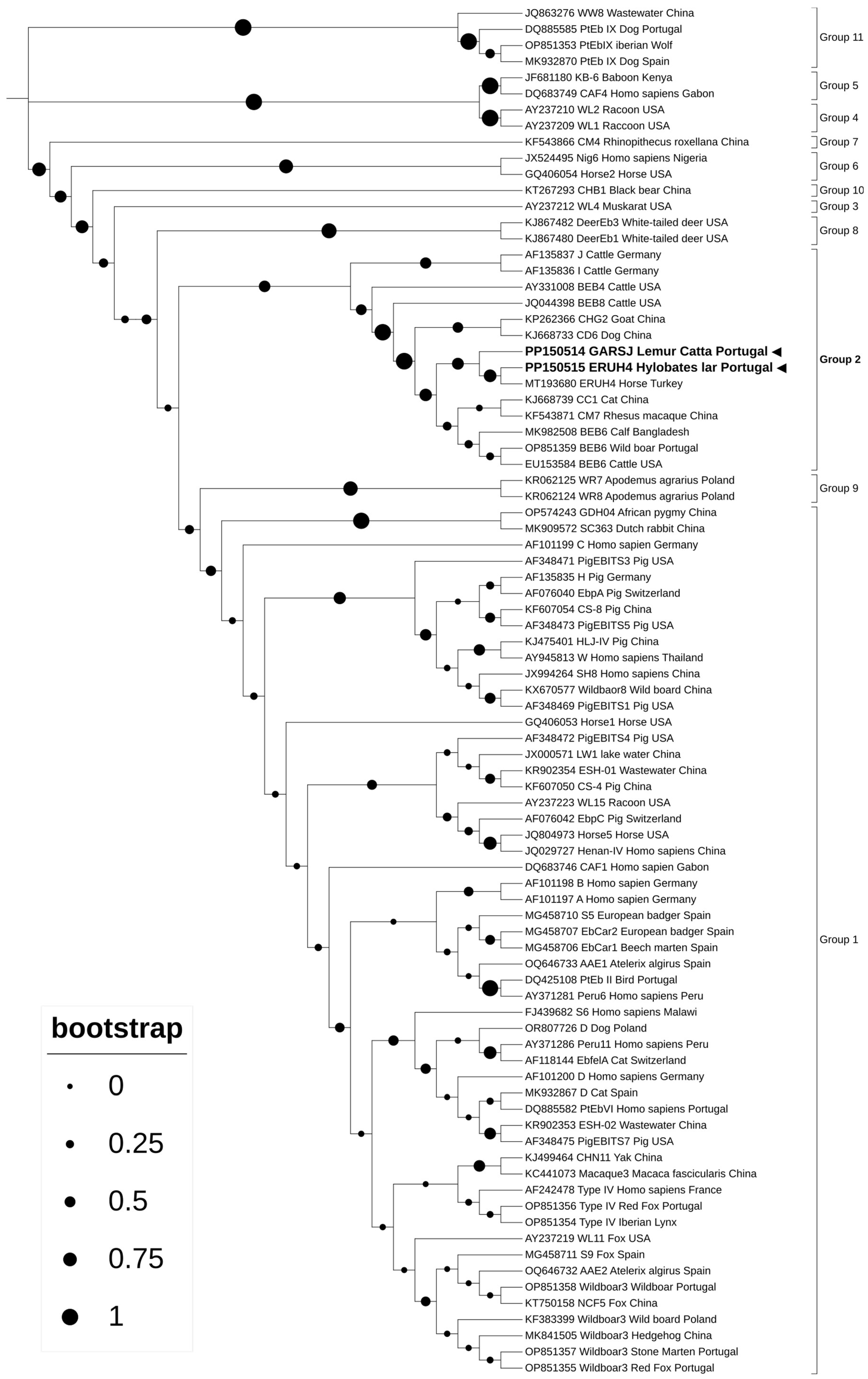Animals 14 01874 g001