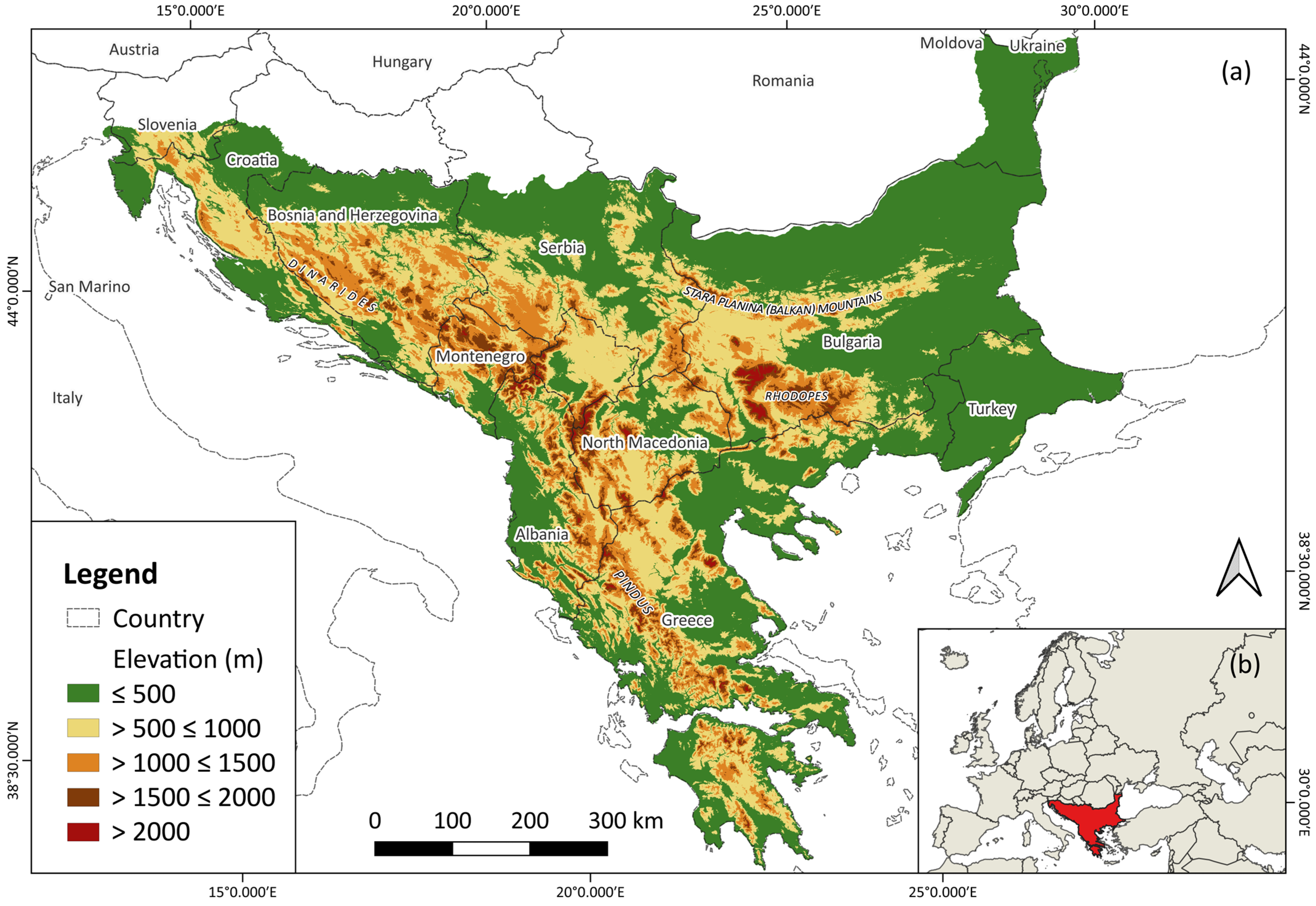 Animals 14 01879 g001