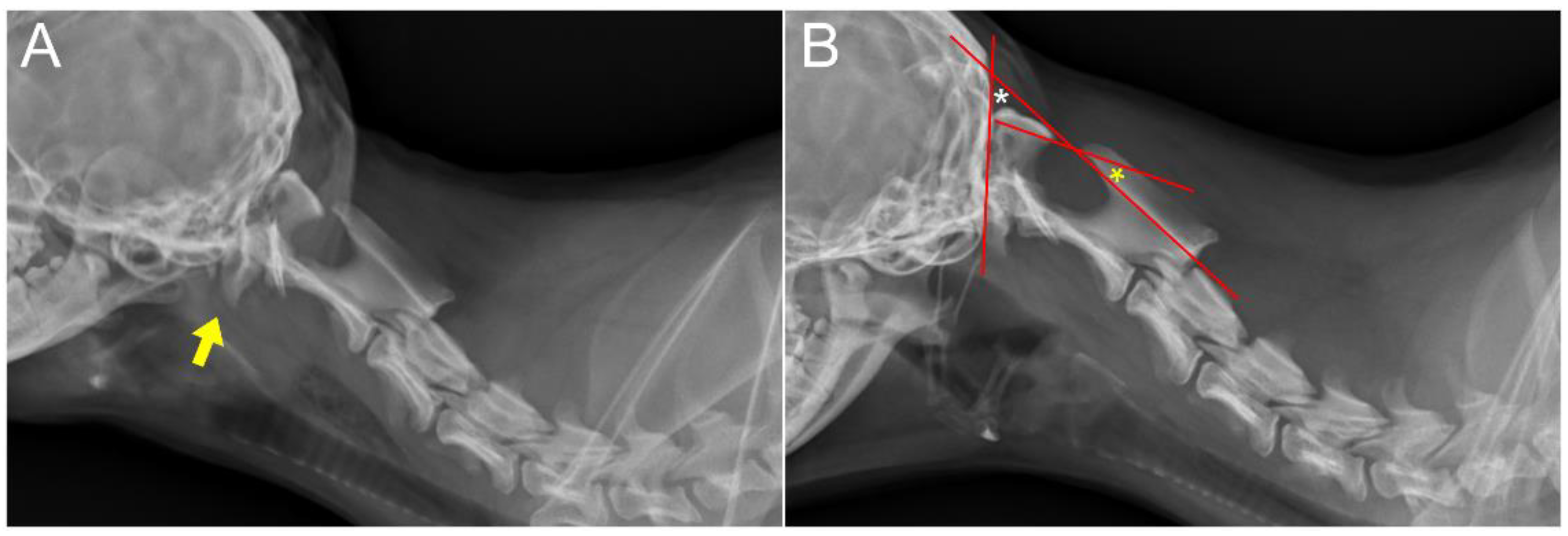 Animals 14 01886 g001