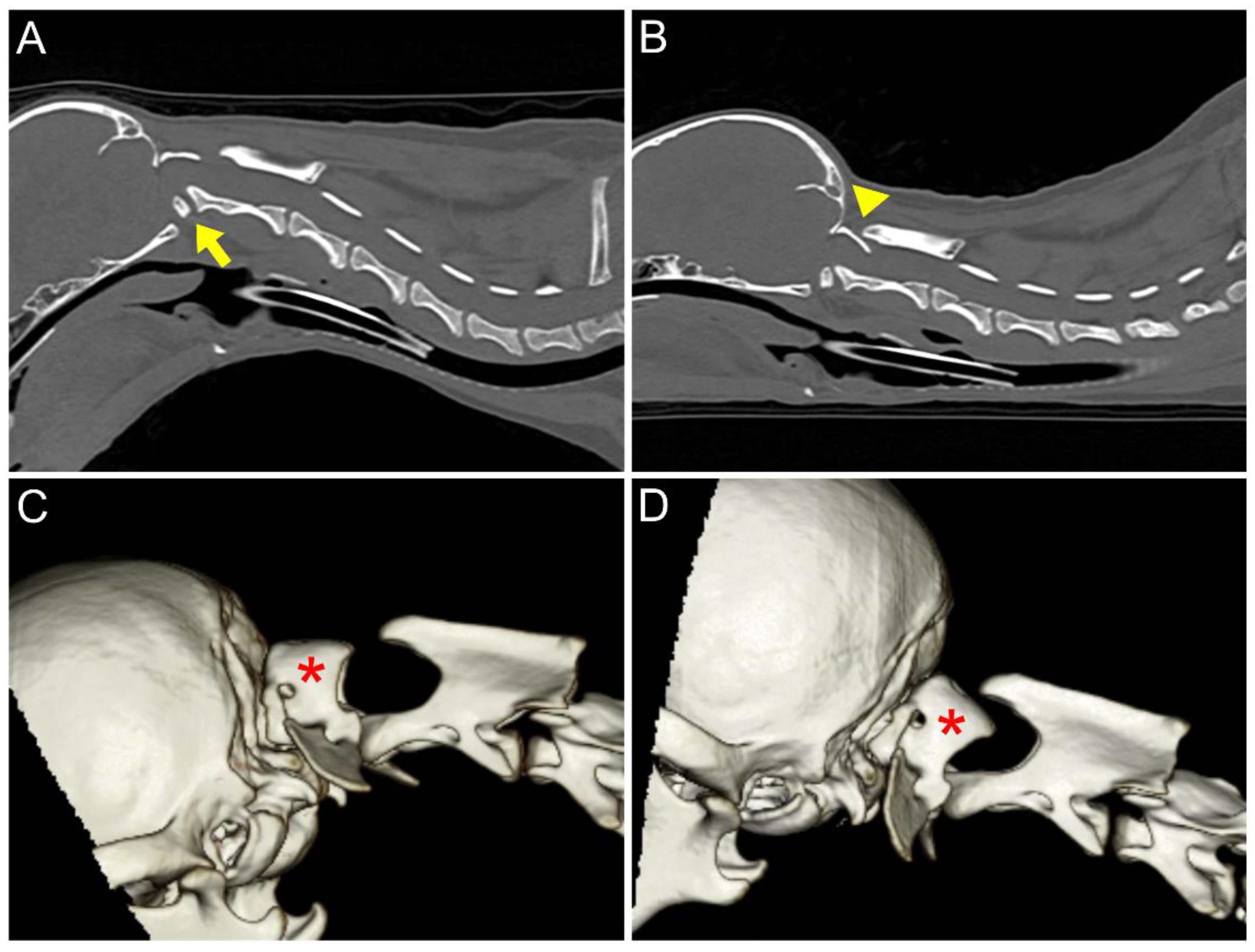 Animals 14 01886 g002