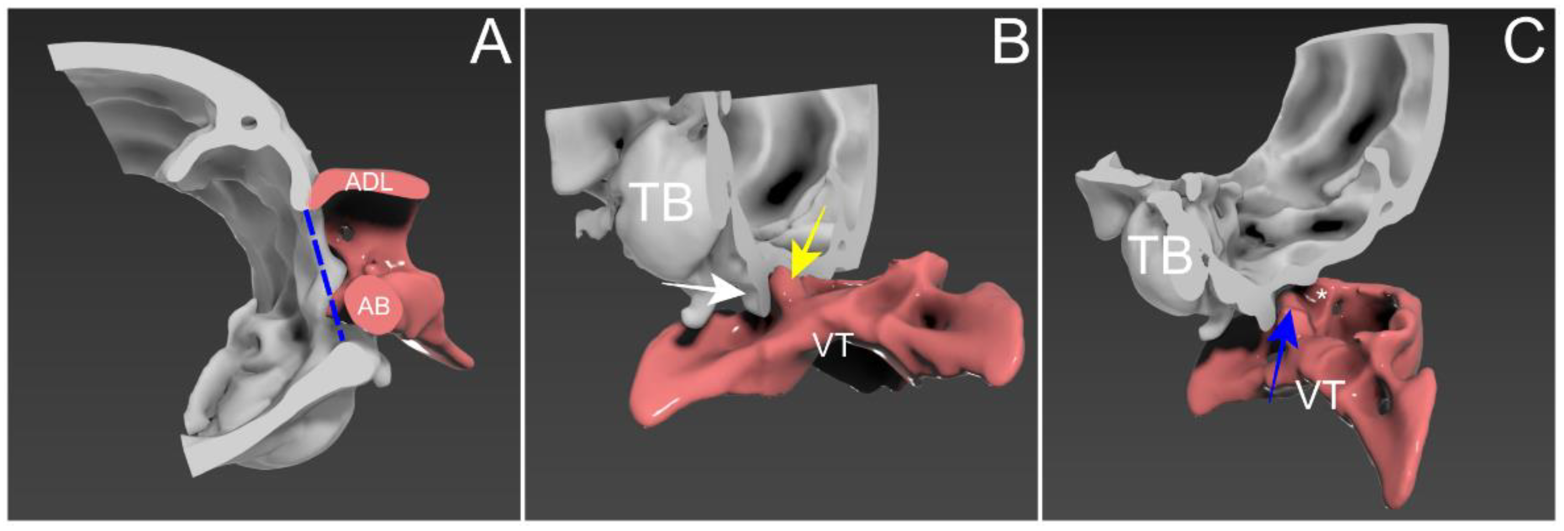 Animals 14 01886 g003