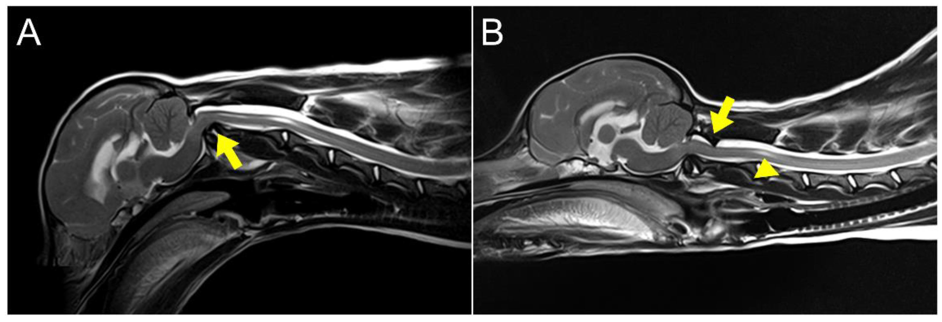Animals 14 01886 g004
