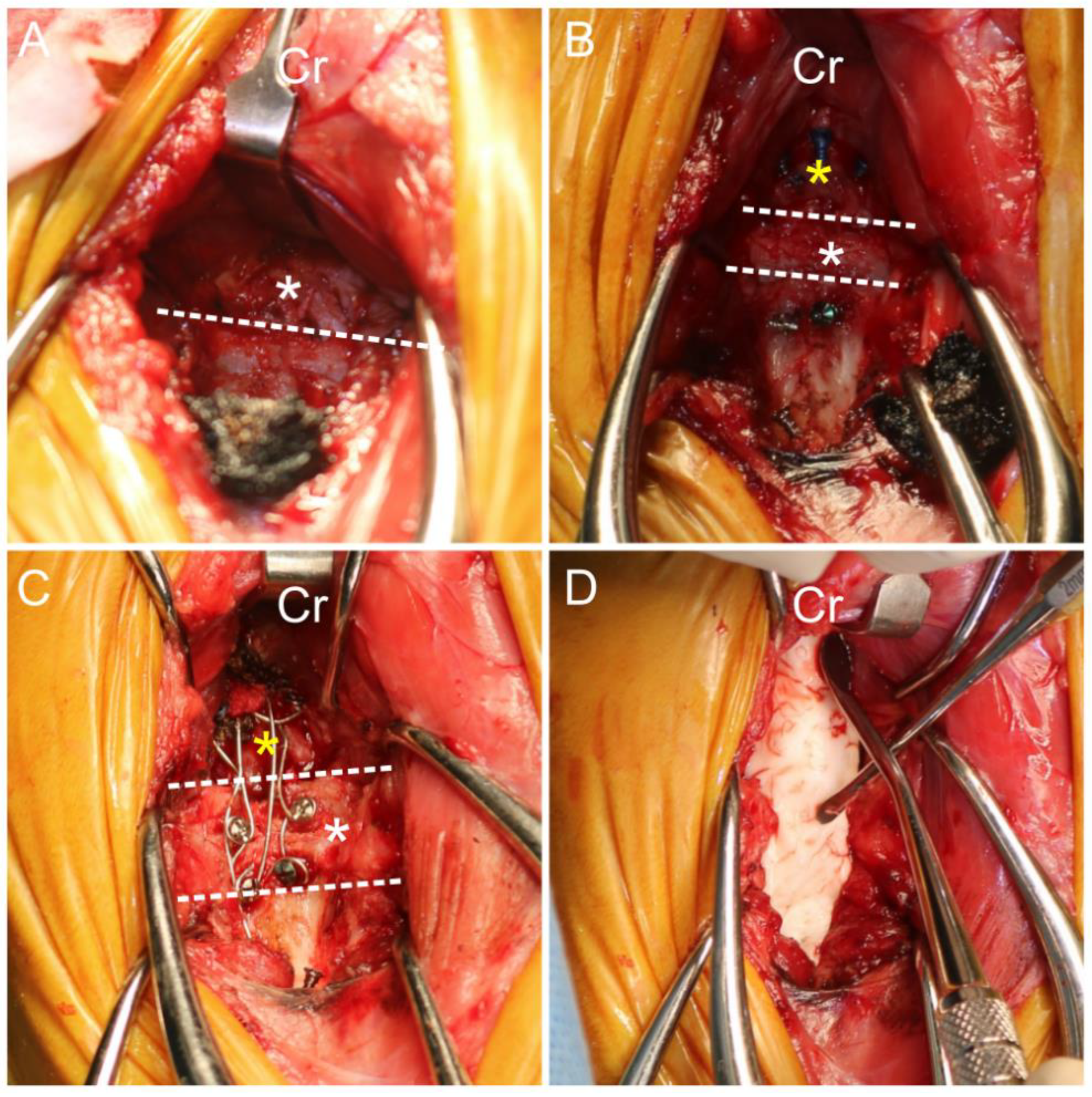 Animals 14 01886 g005
