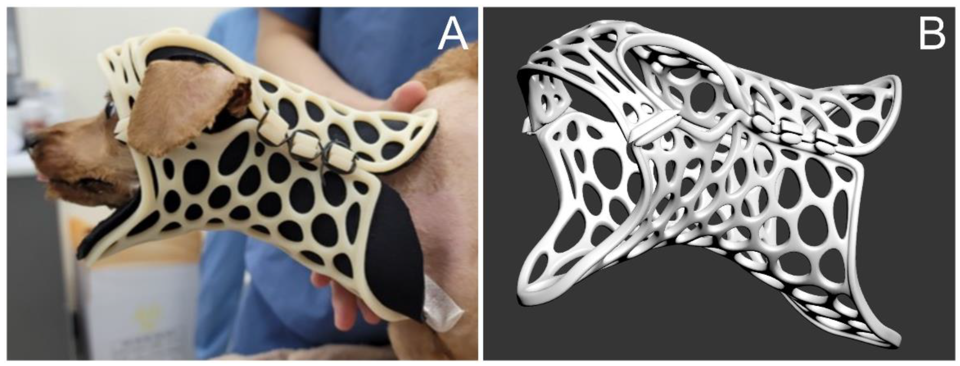 Animals 14 01886 g006