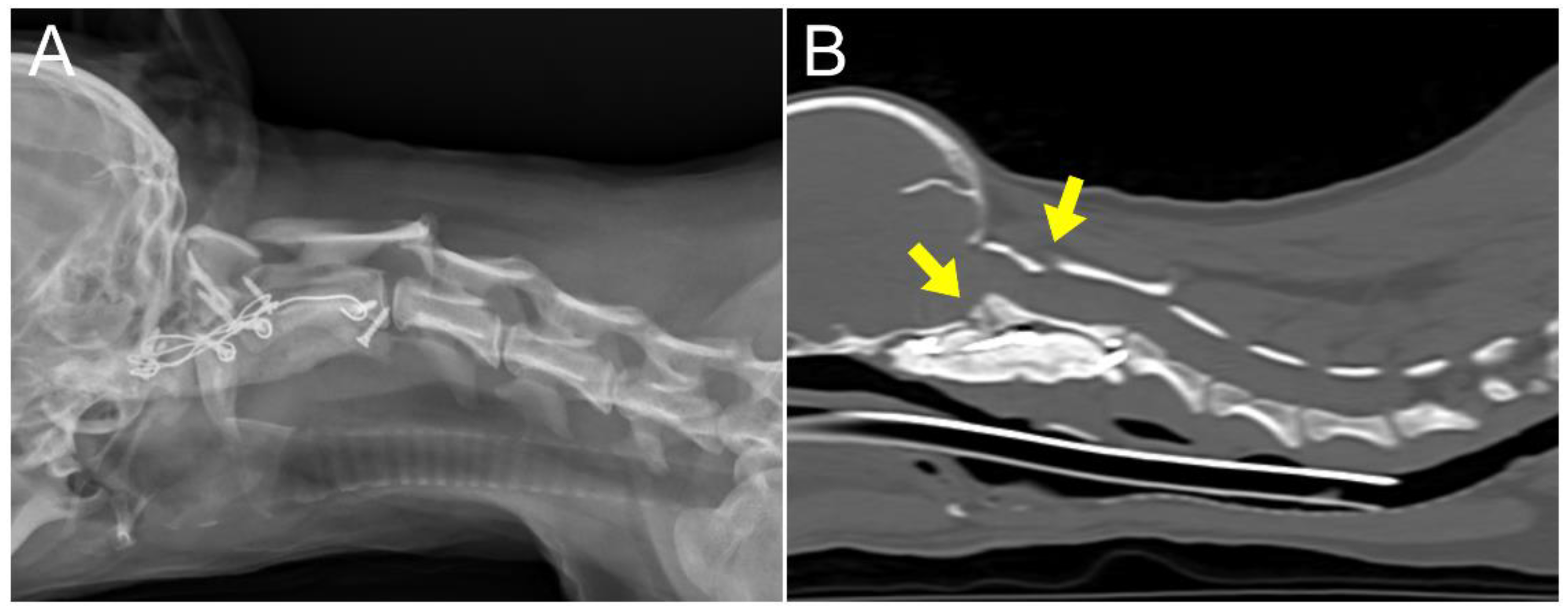 Animals 14 01886 g007