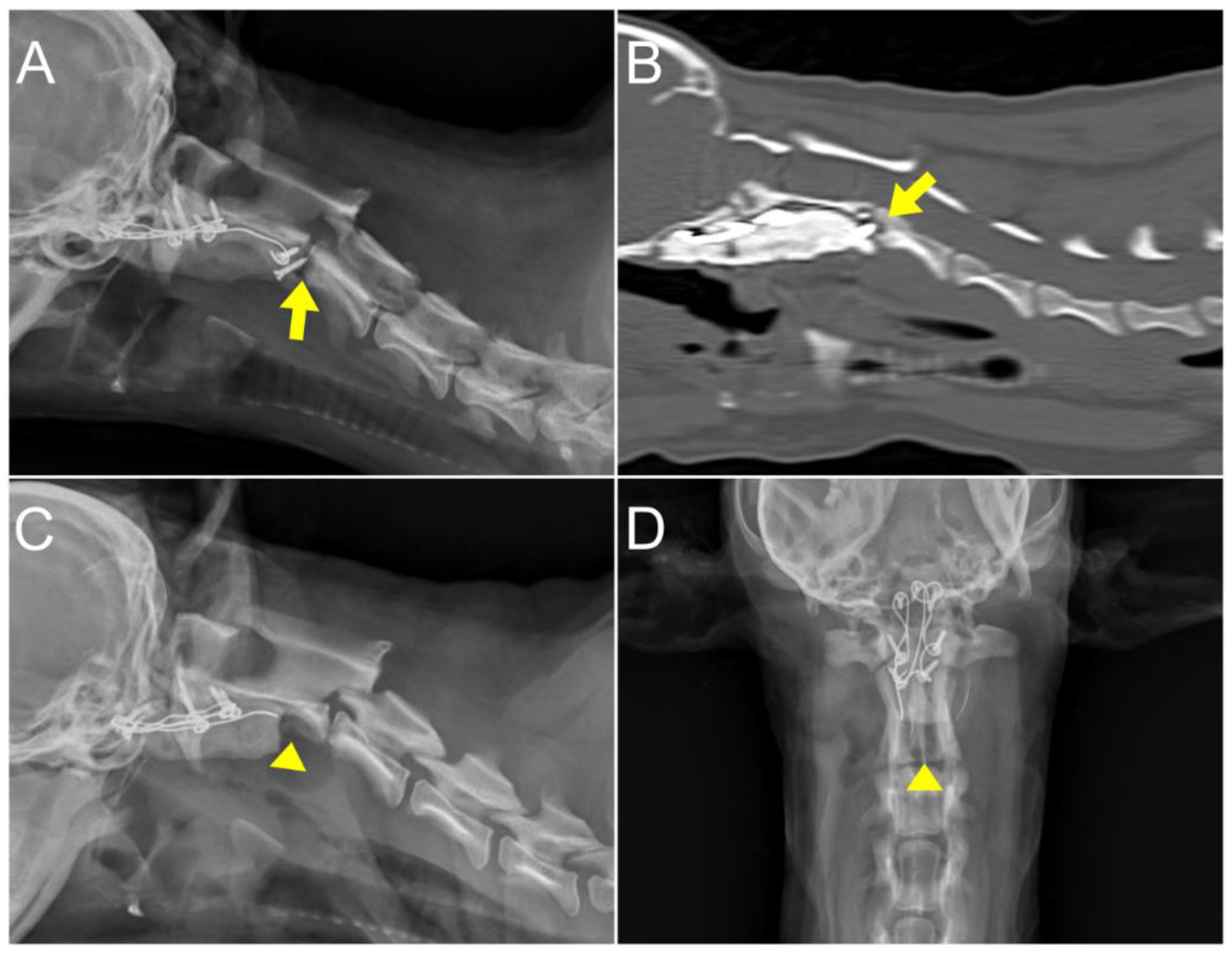 Animals 14 01886 g008