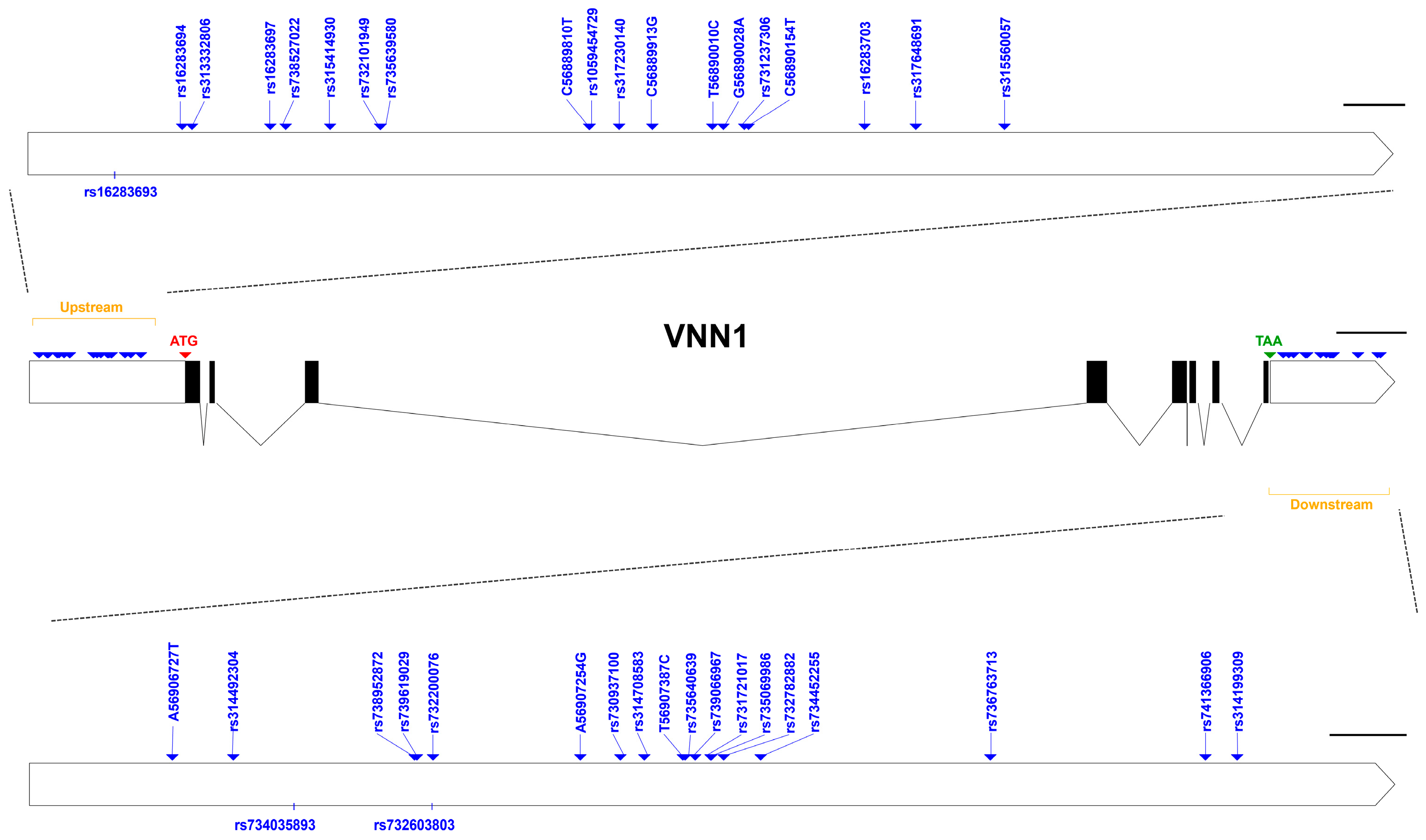 Animals 14 01888 g003
