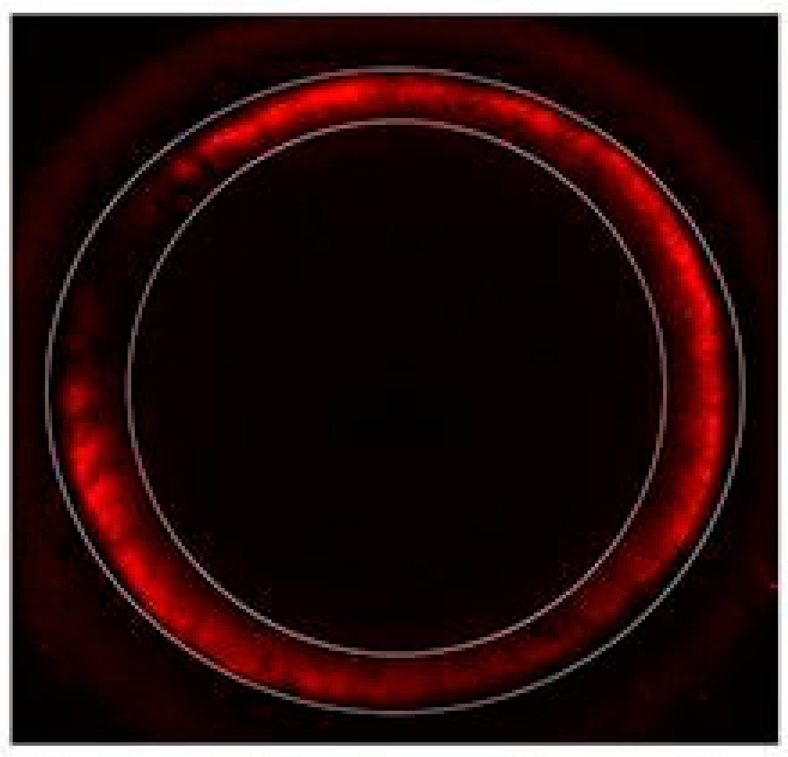 Animals 14 01893 g002 Animals 14 01893 g002