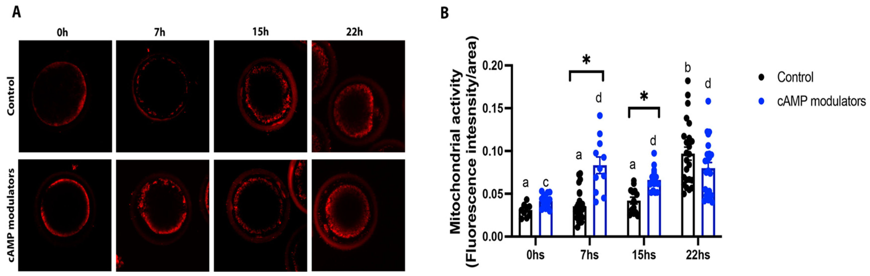 Animals 14 01893 g005 Animals 14 01893 g005
