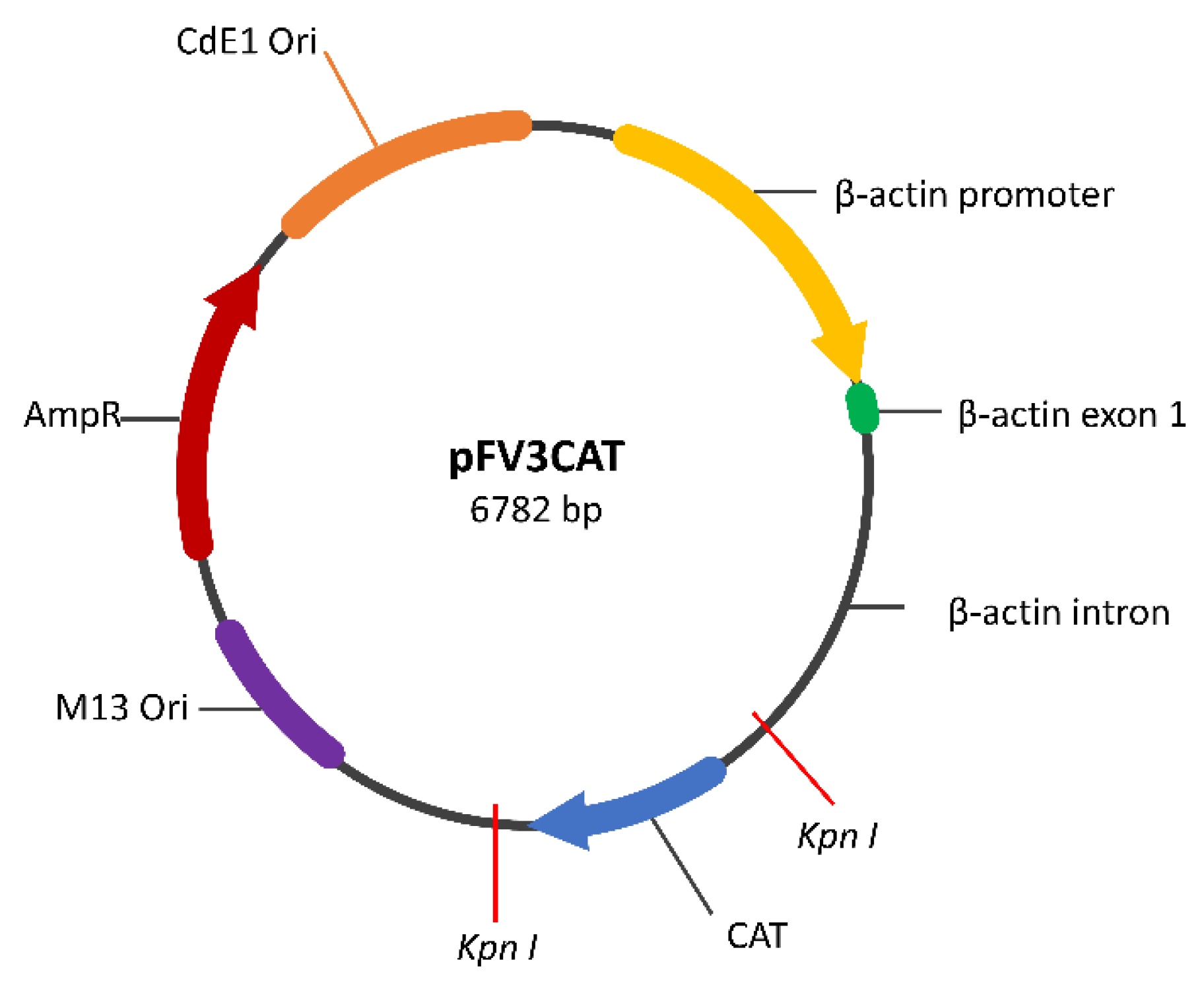 Animals 14 01899 g002 Animals 14 01899 g002