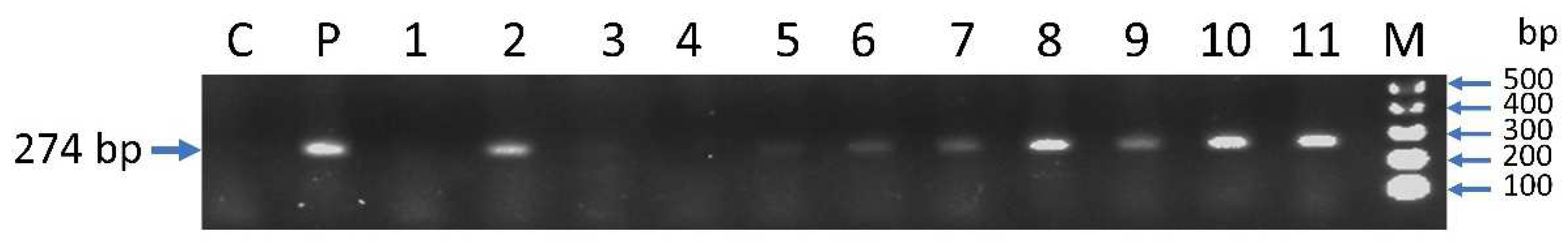 Animals 14 01899 g003 Animals 14 01899 g003