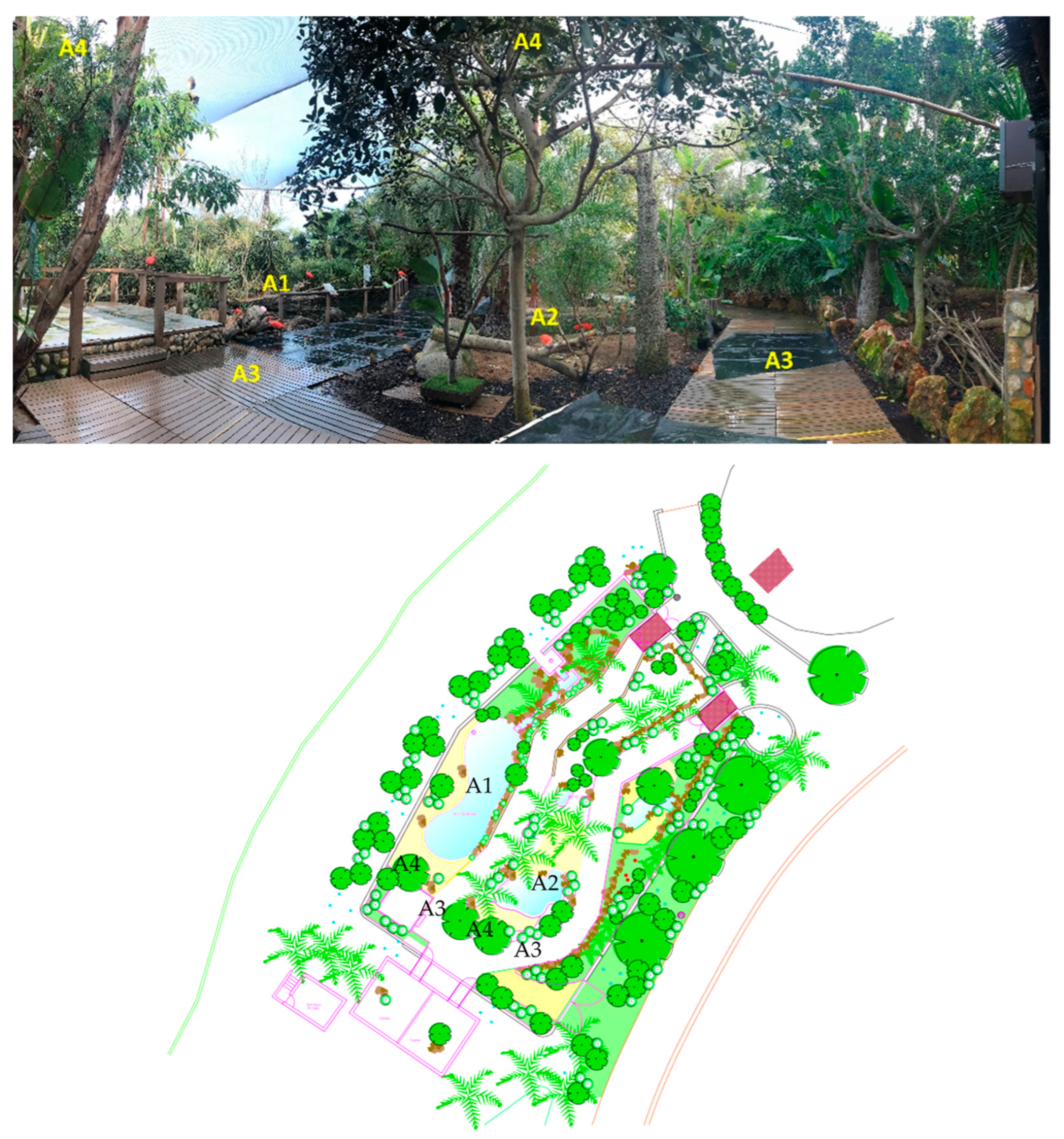 Animals 14 01903 g001