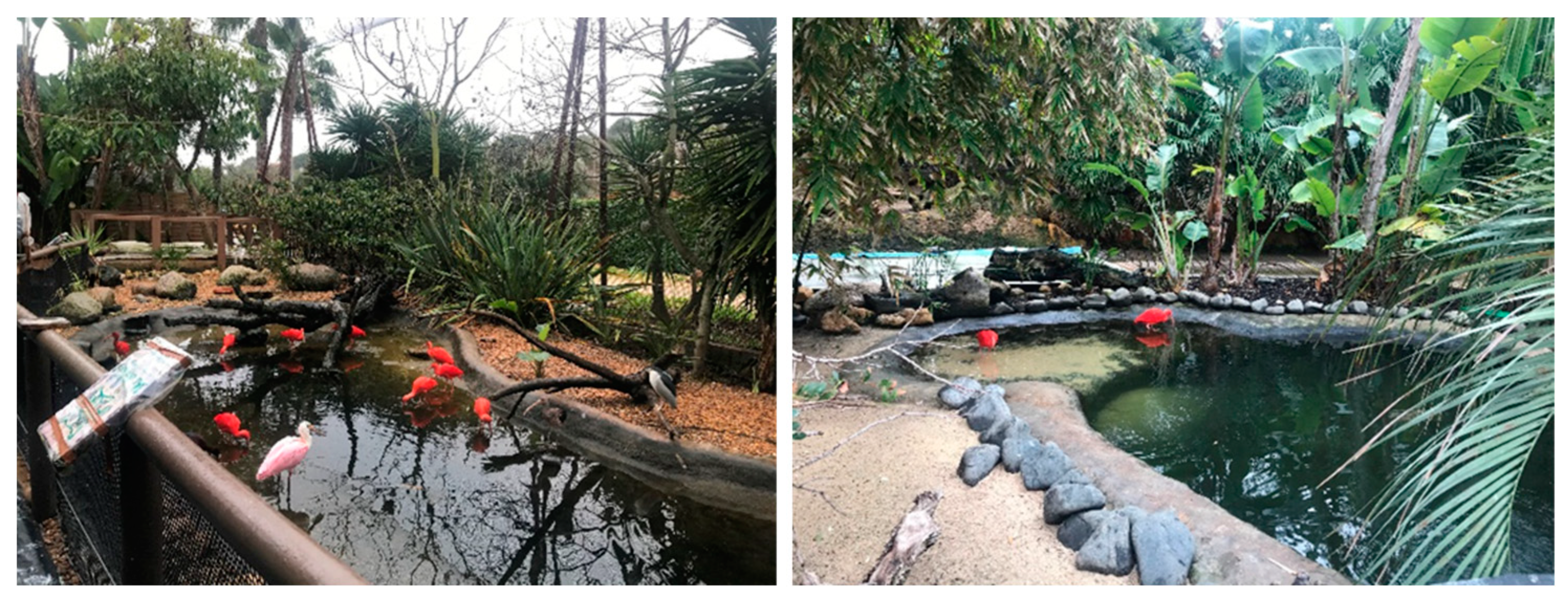 Animals 14 01903 g002