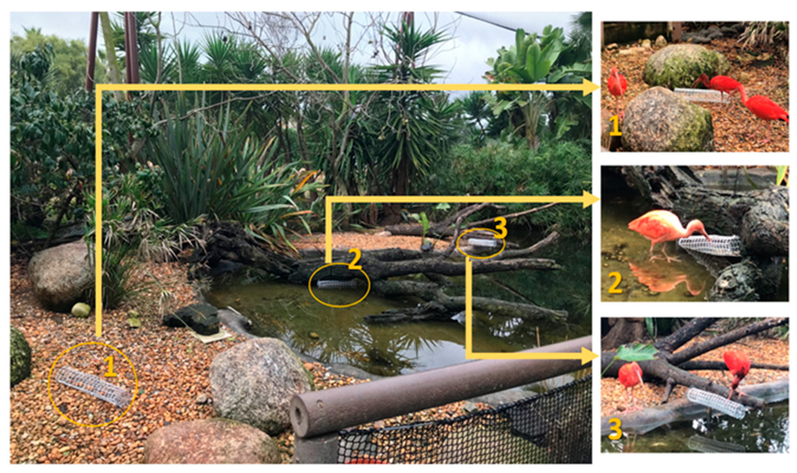 Animals 14 01903 g003