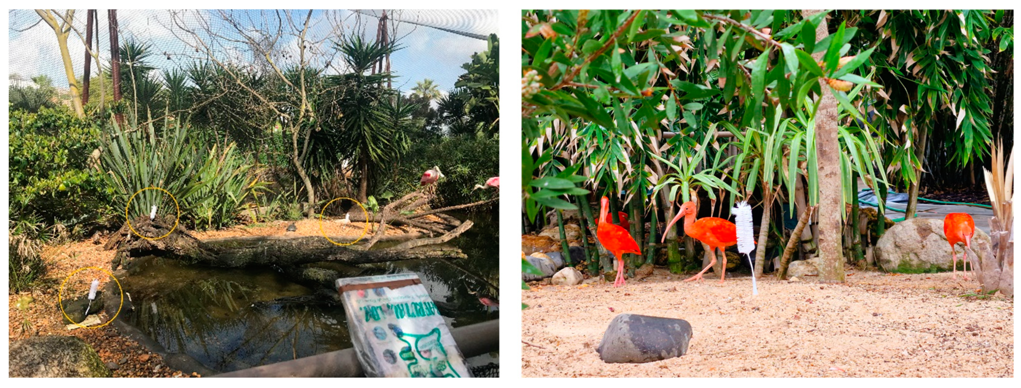 Animals 14 01903 g004