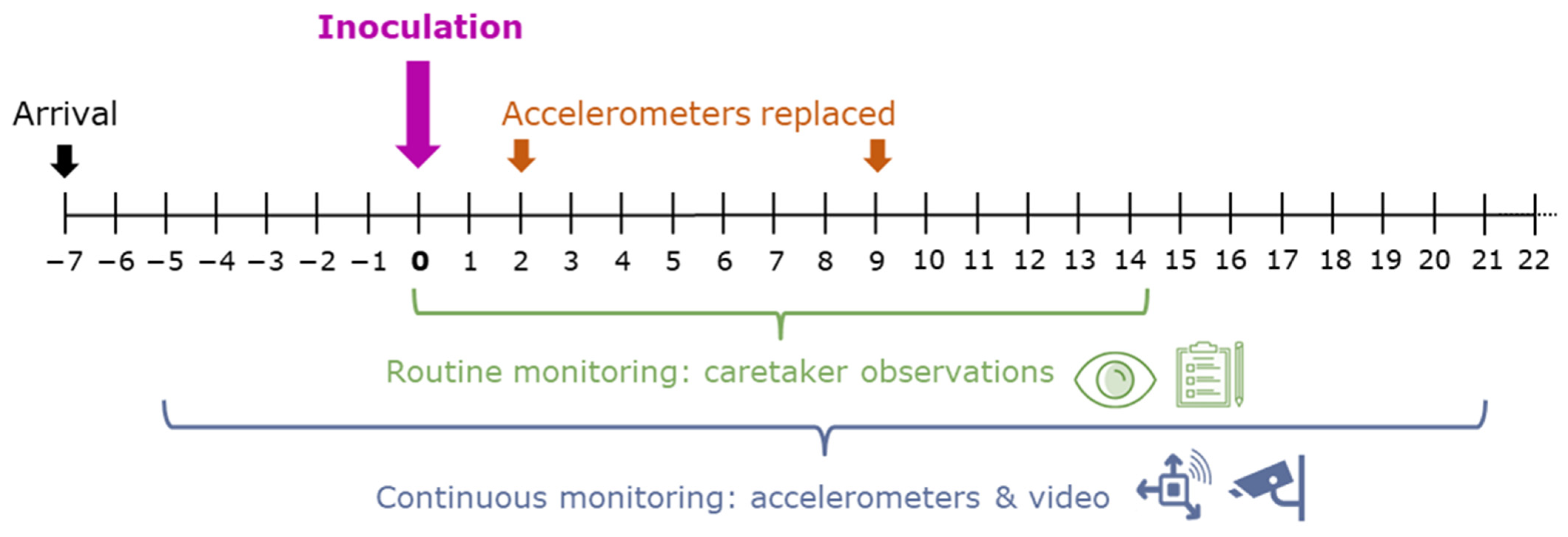 Animals 14 01908 g002