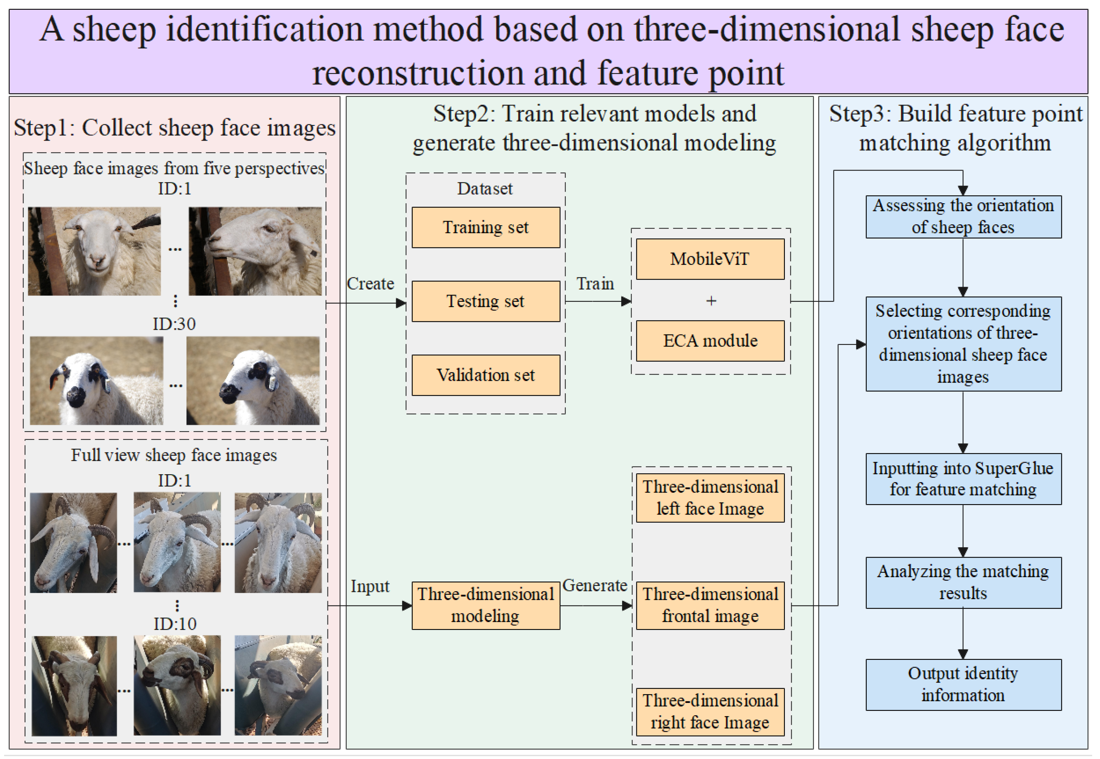 Animals 14 01923 g001