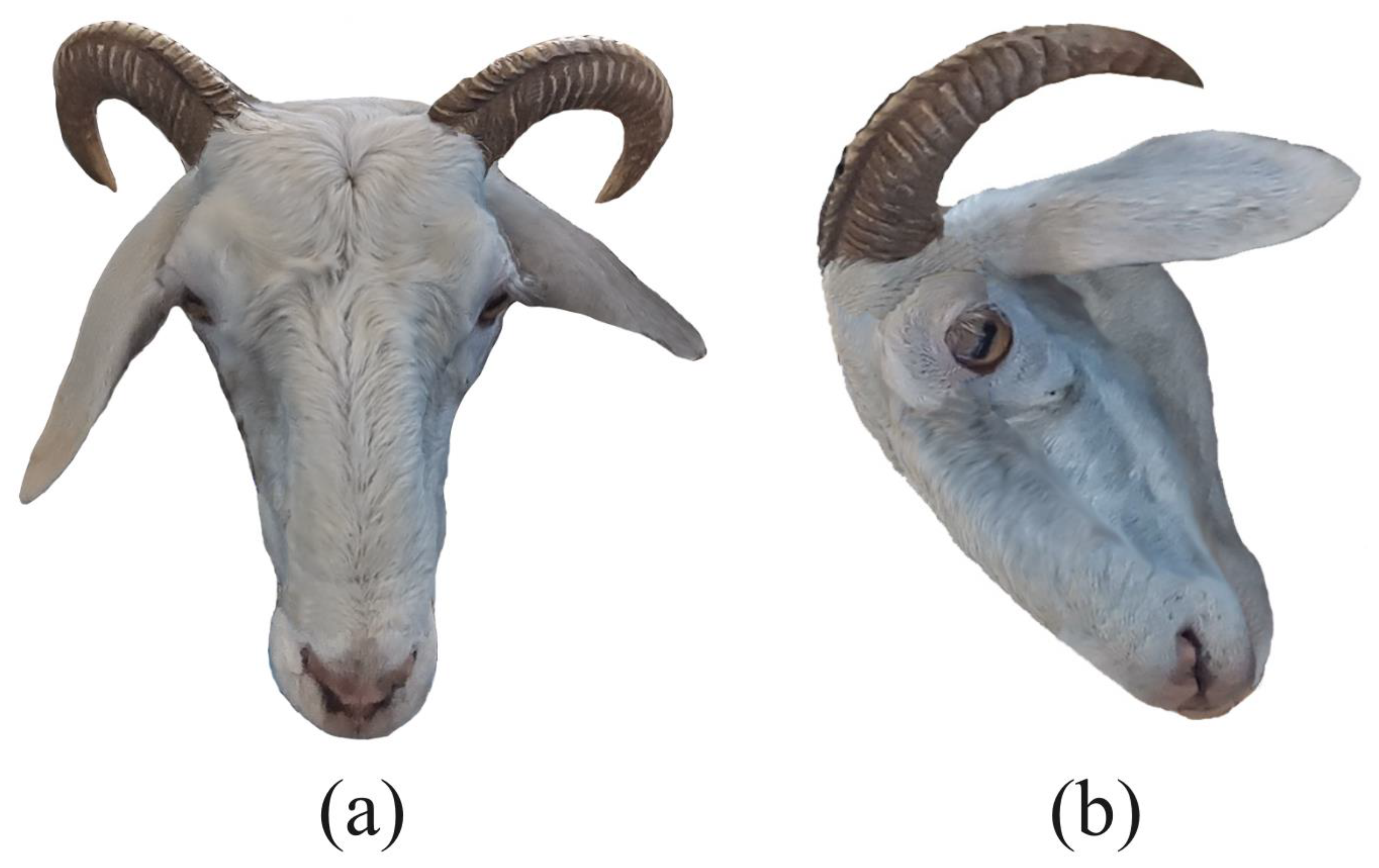 Animals 14 01923 g010