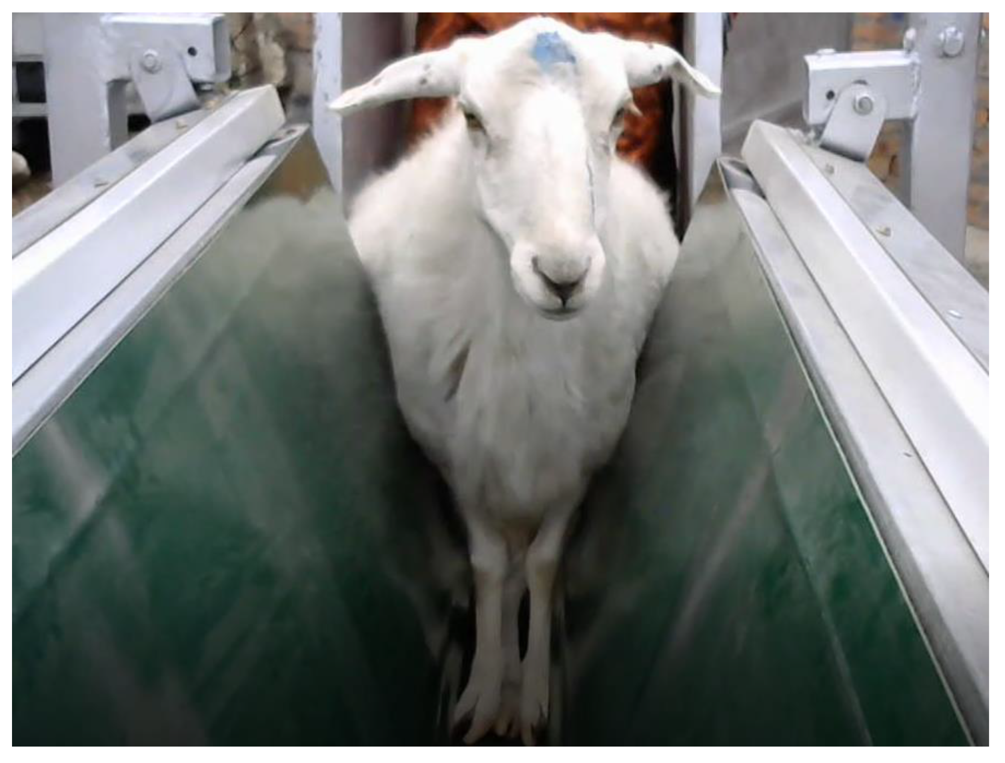 Animals 14 01923 g012