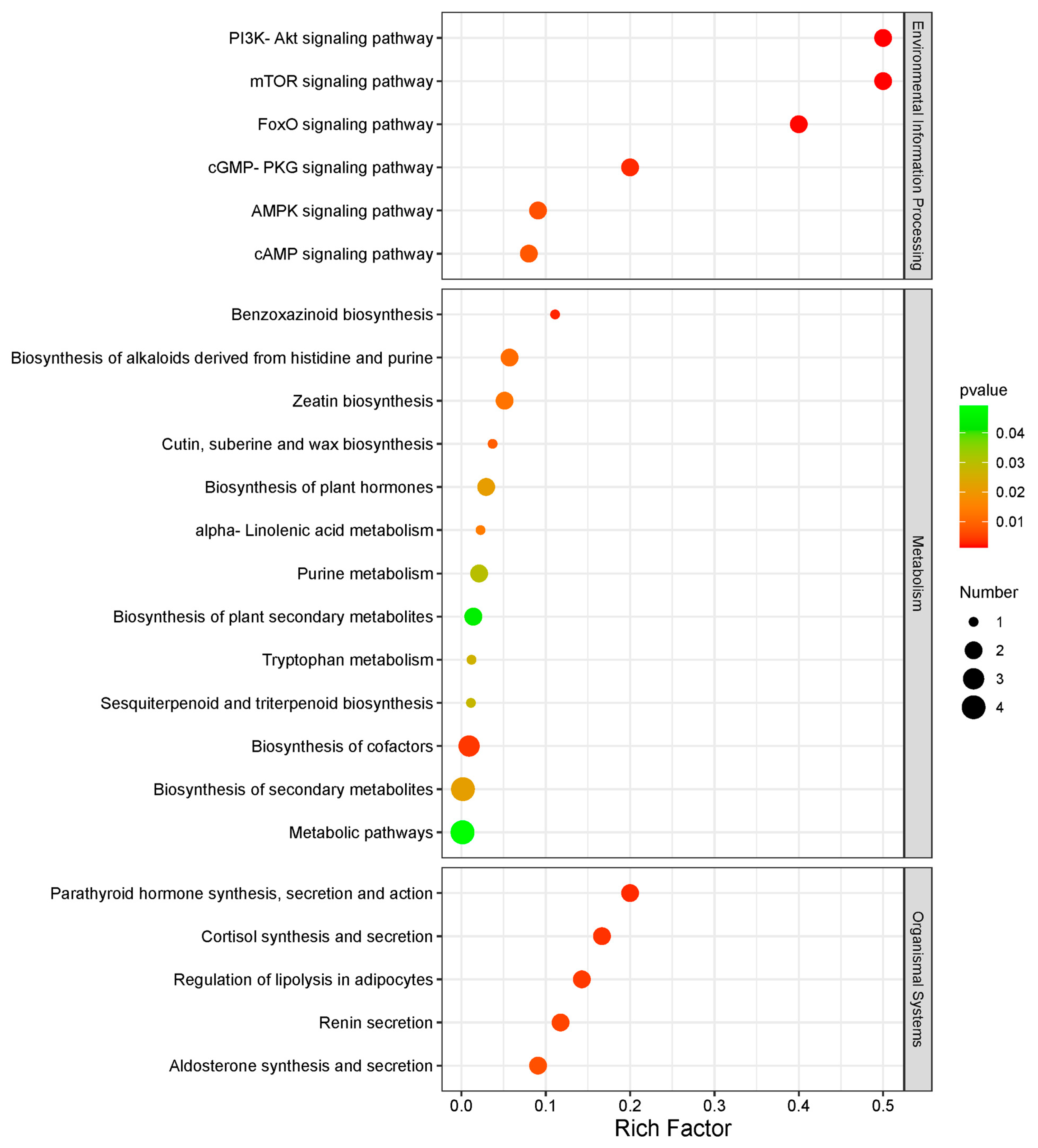 Animals 14 01933 g005