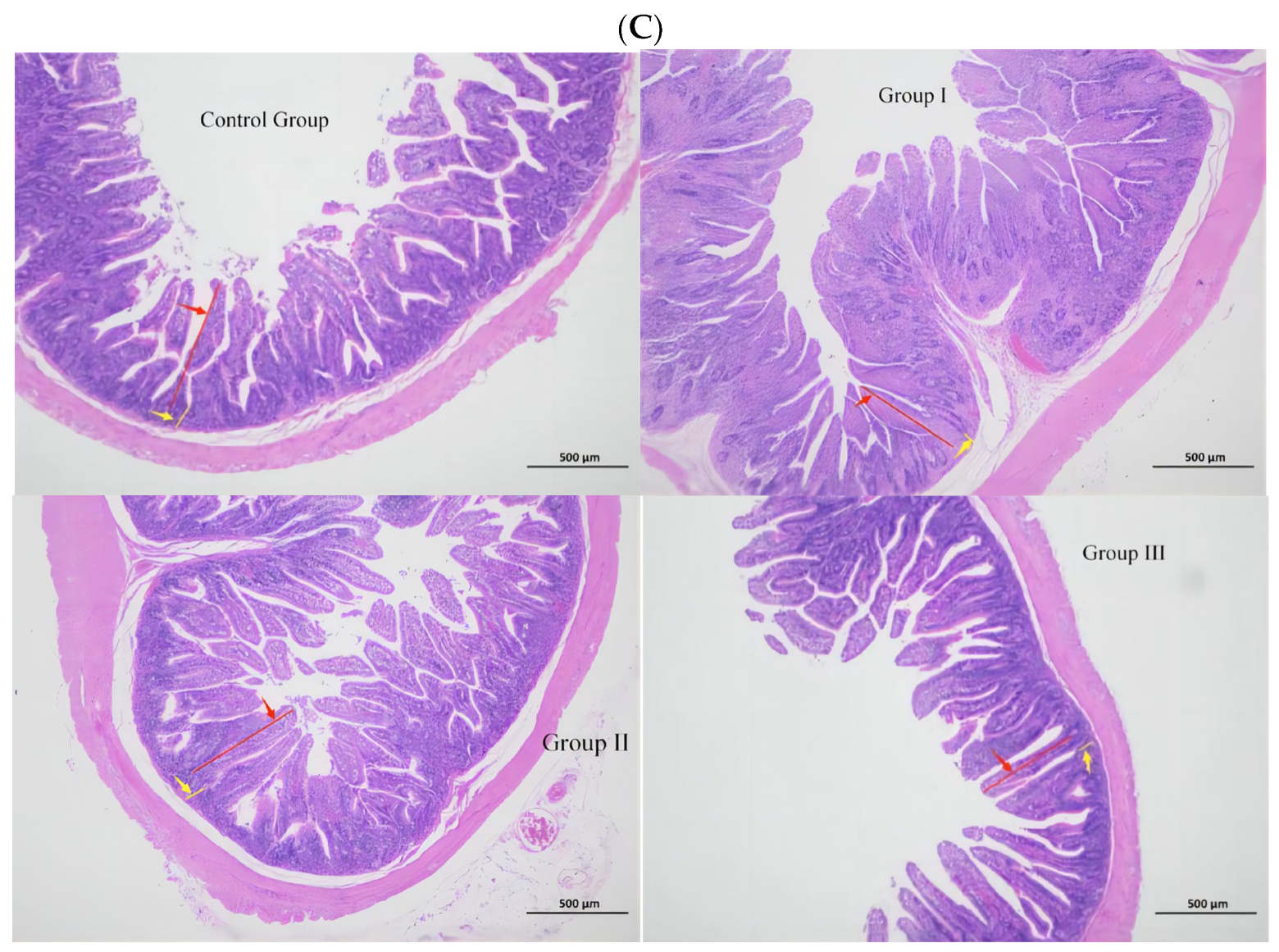 Animals 14 01935 g001b