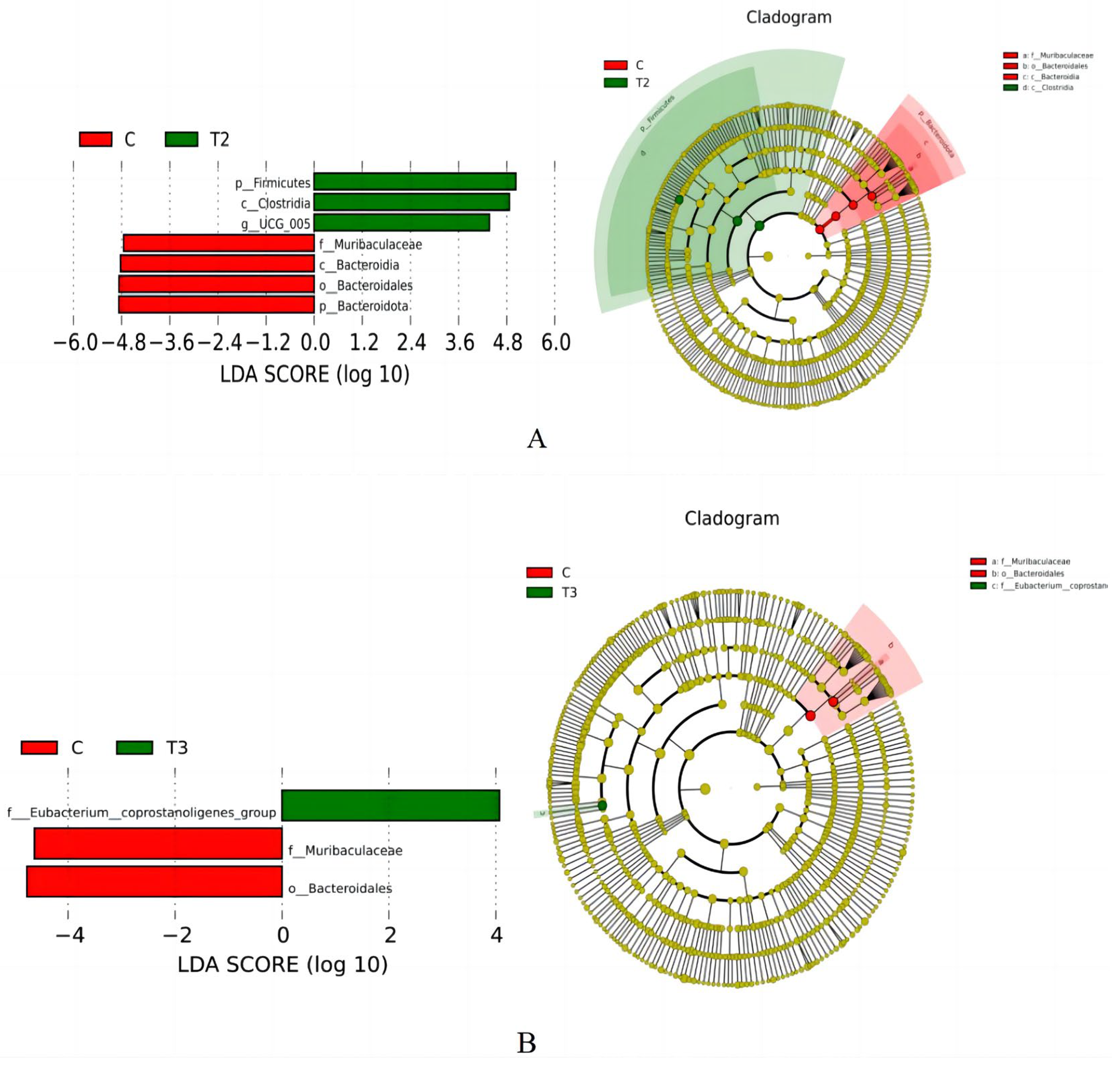 Animals 14 01935 g005