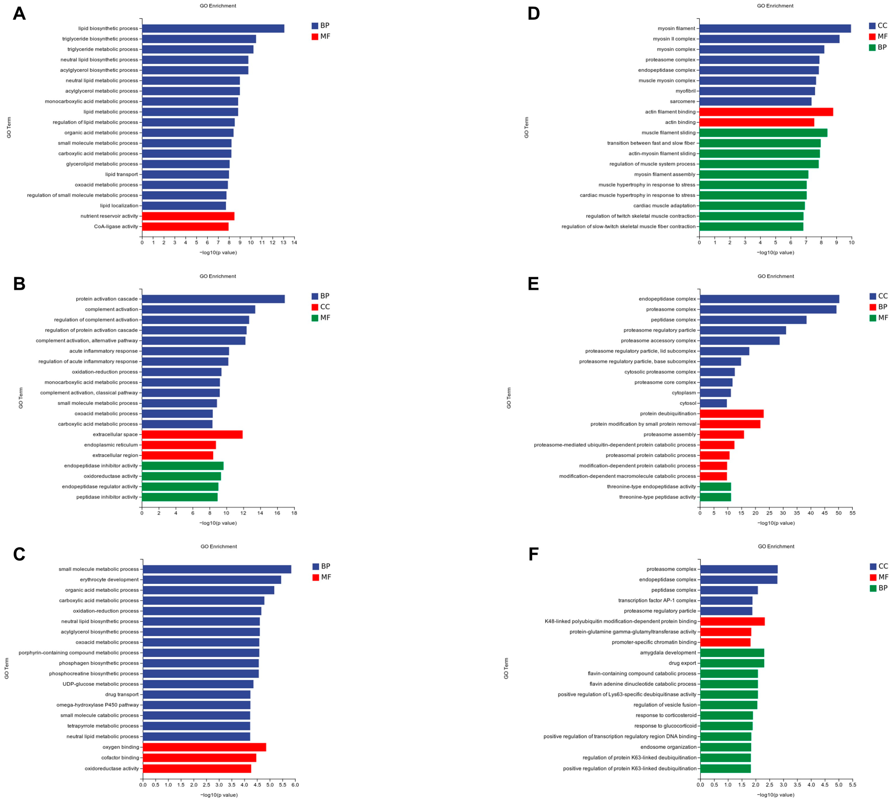 Animals 14 01939 g002