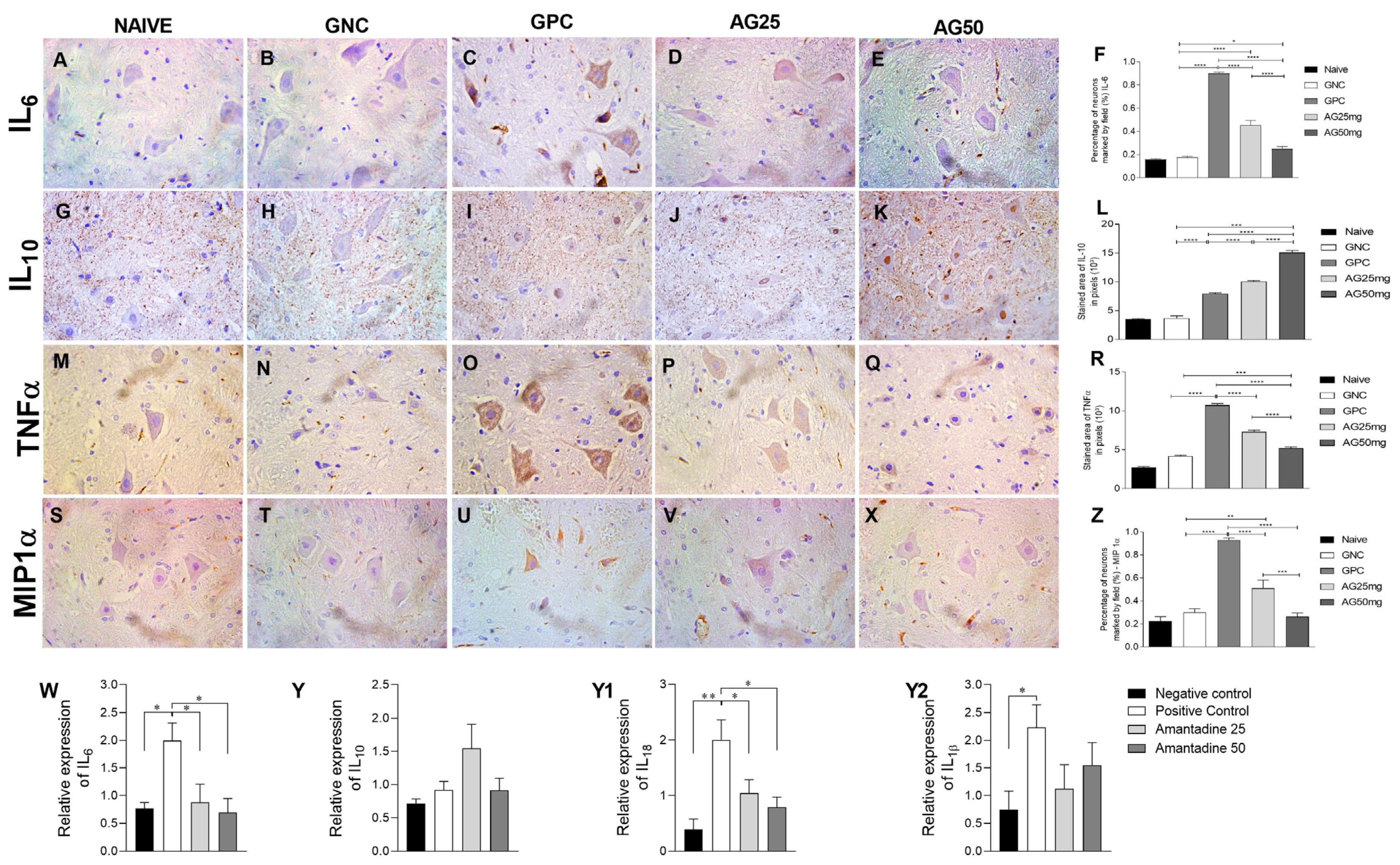 Animals 14 01941 g002