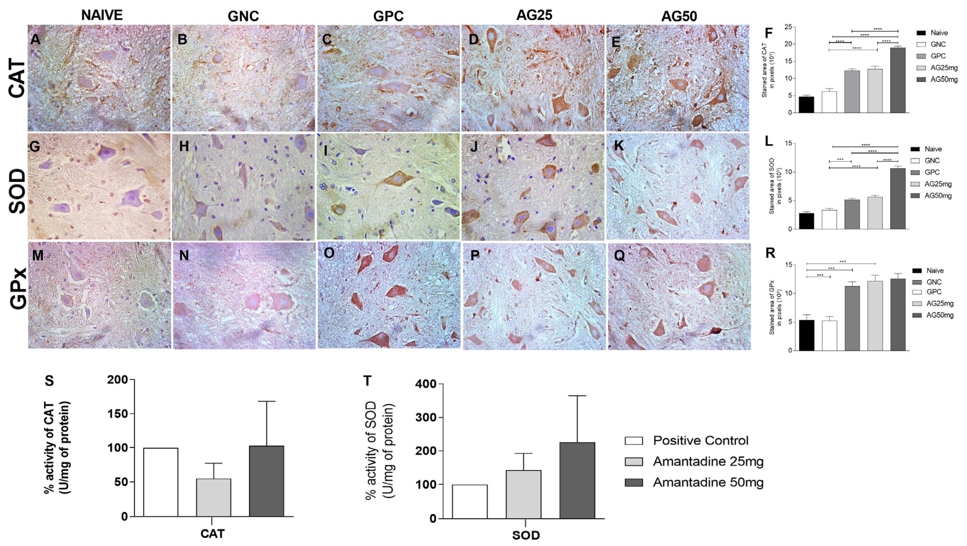 Animals 14 01941 g004