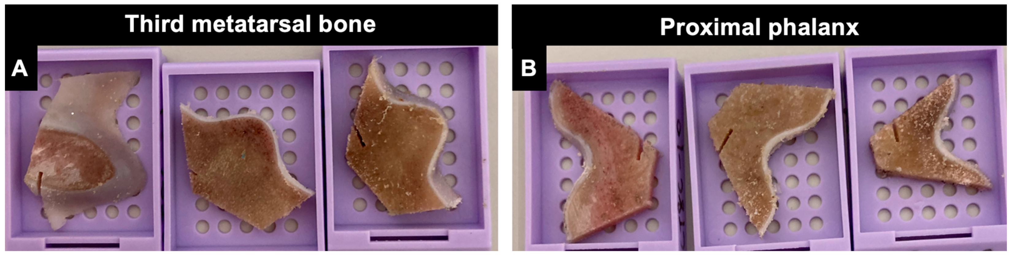 Animals 14 01942 g002