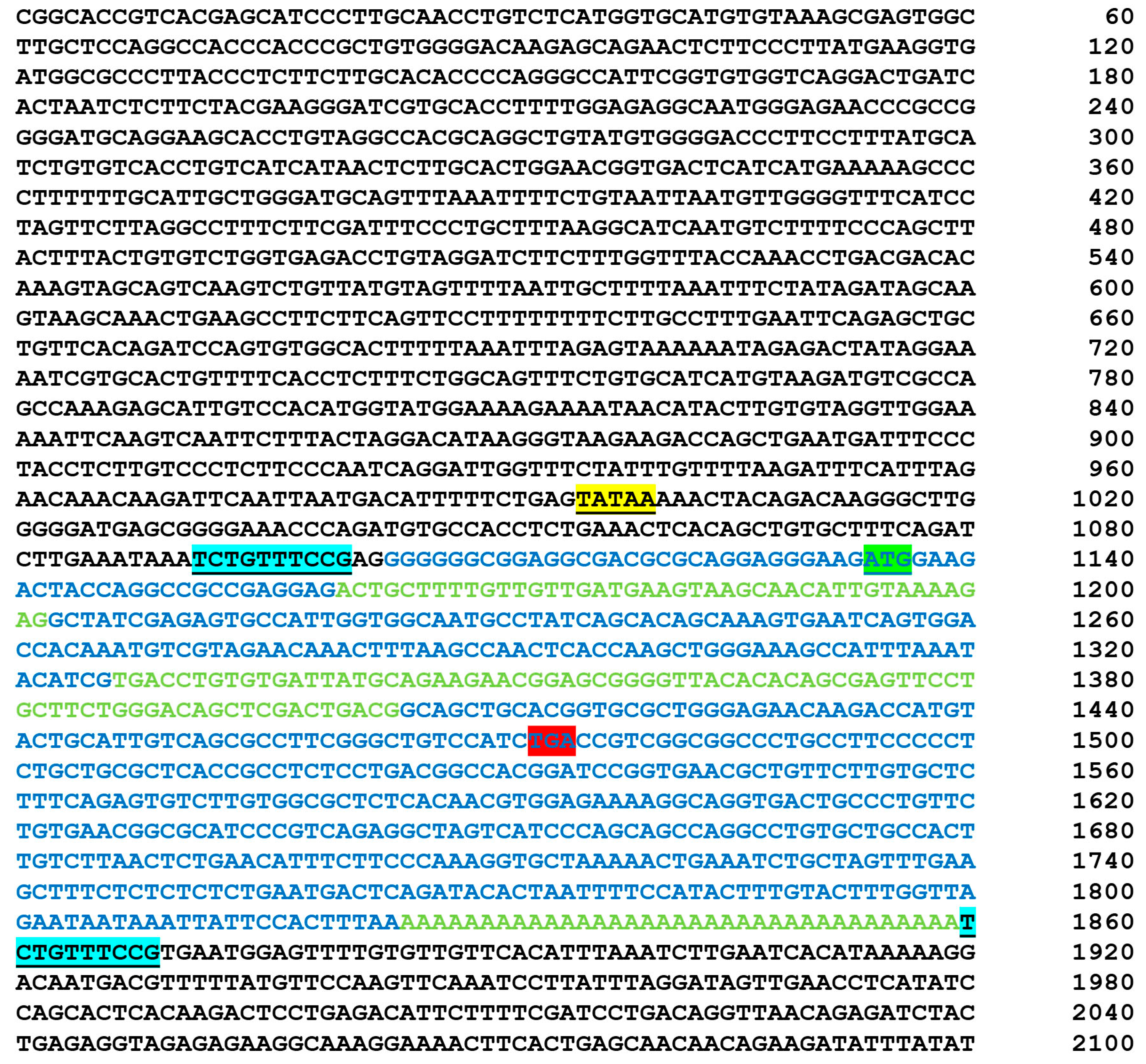 Animals 14 01946 g005