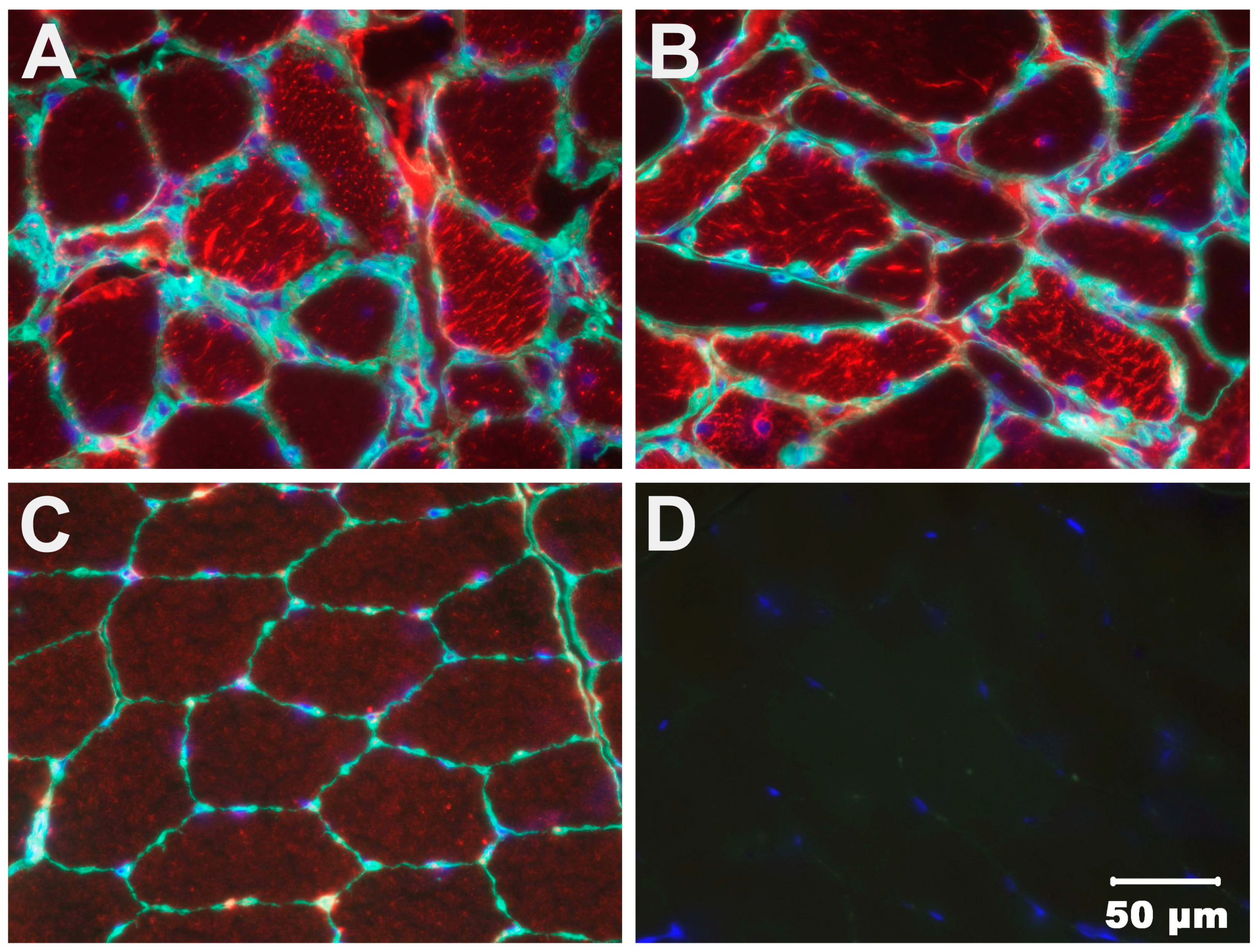 Animals 14 01946 g006