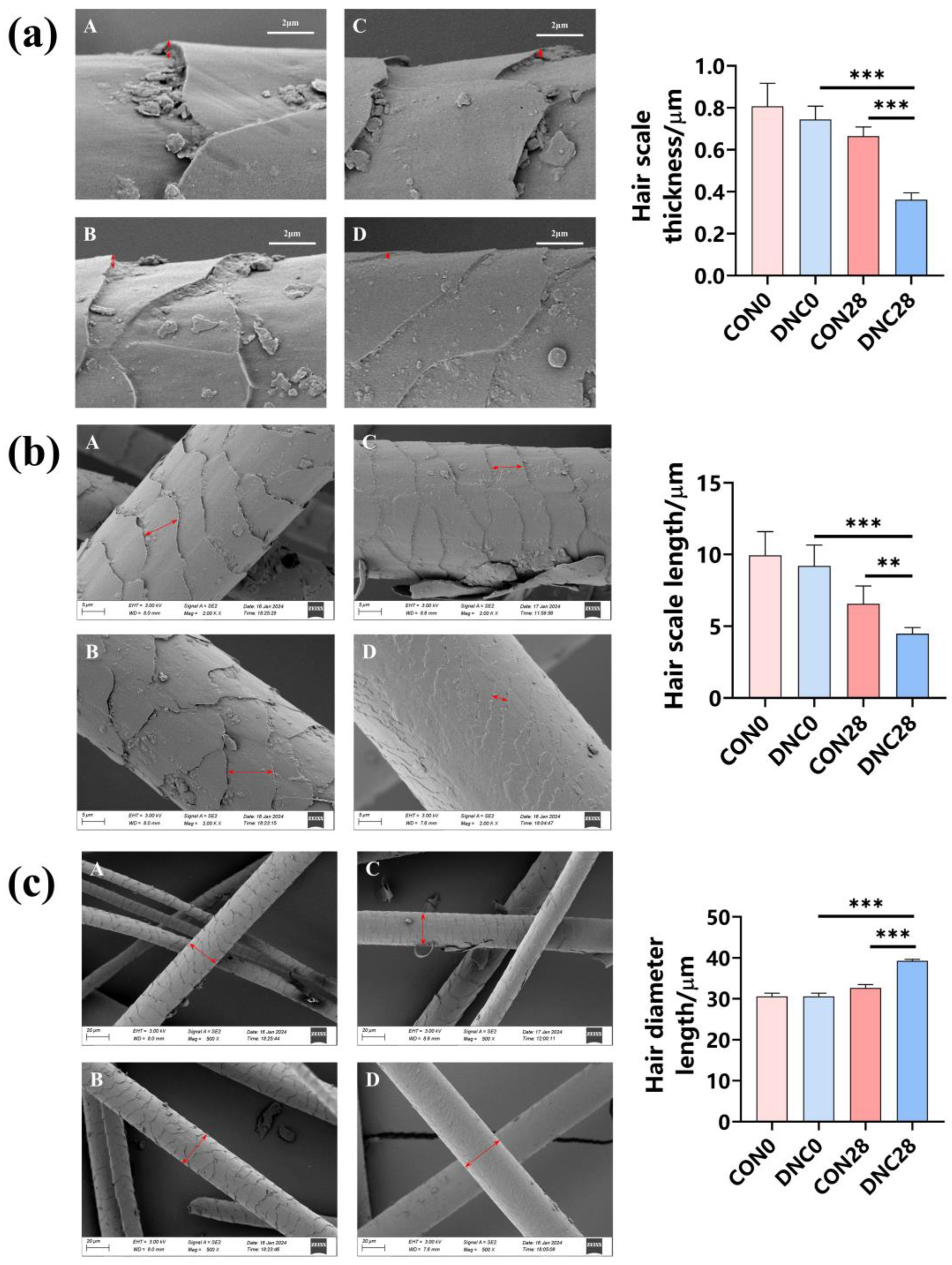 Animals 14 01949 g006