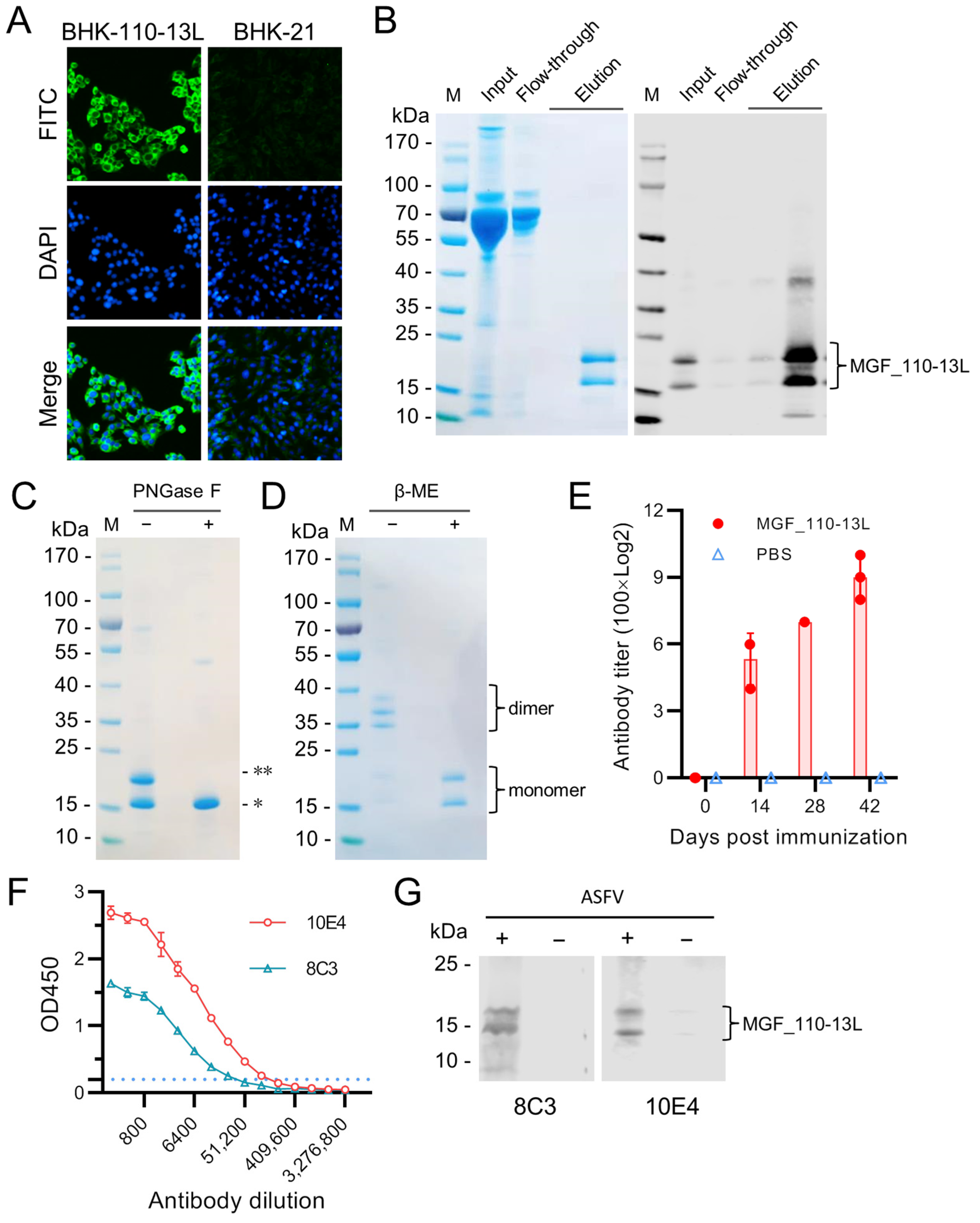 Animals 14 01951 g002
