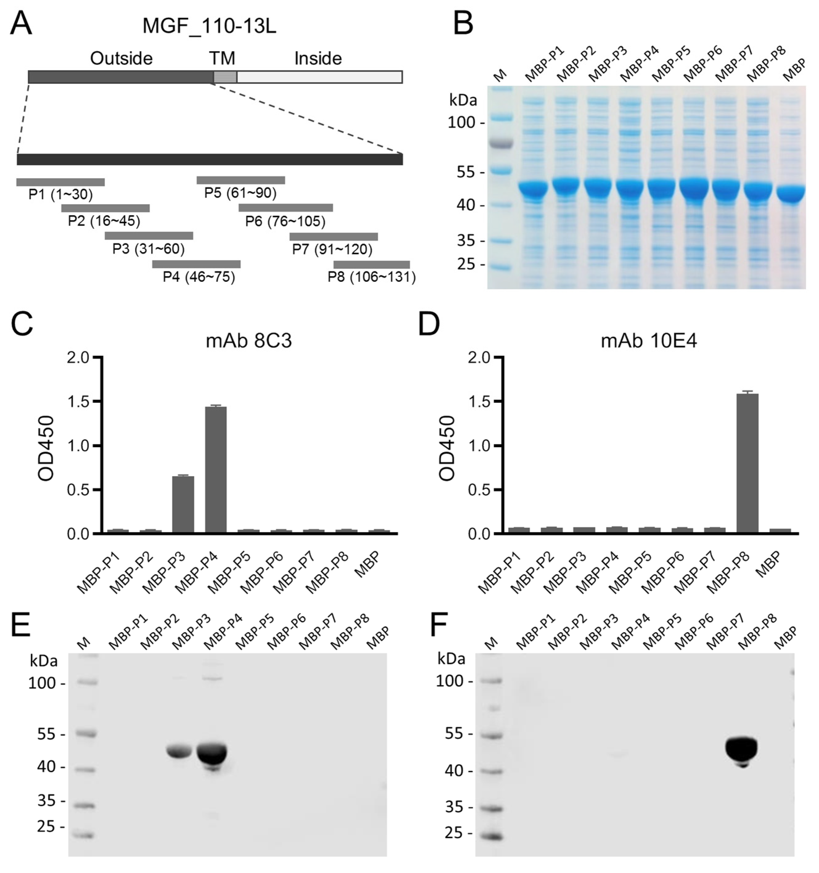 Animals 14 01951 g003