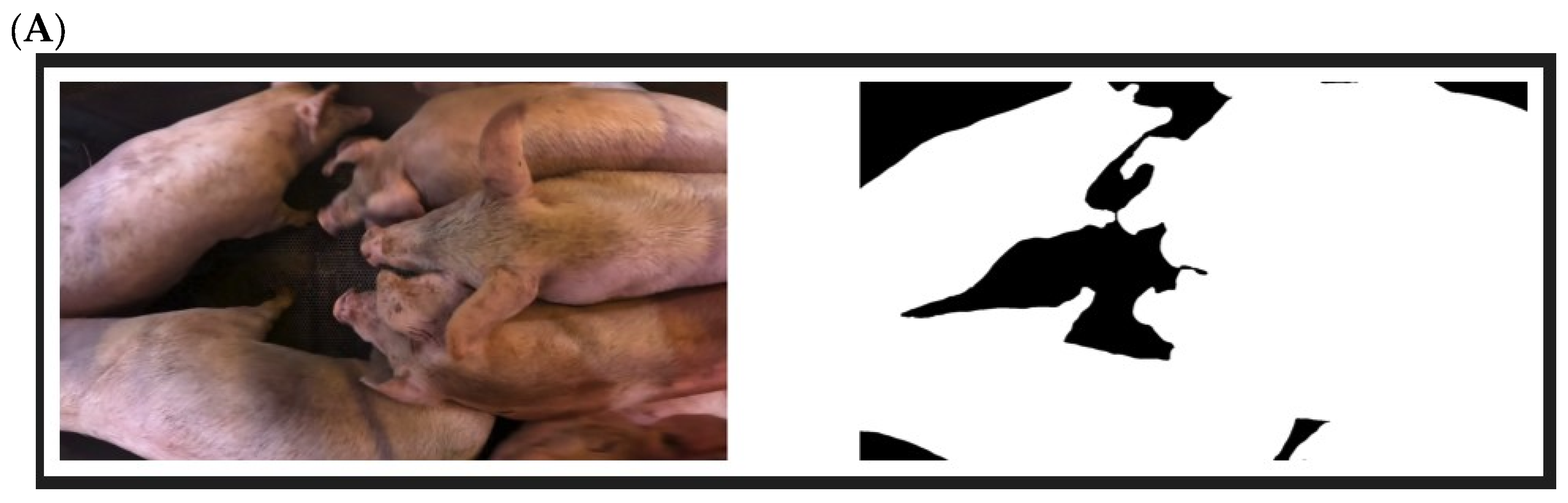 Animals 14 01953 g001a