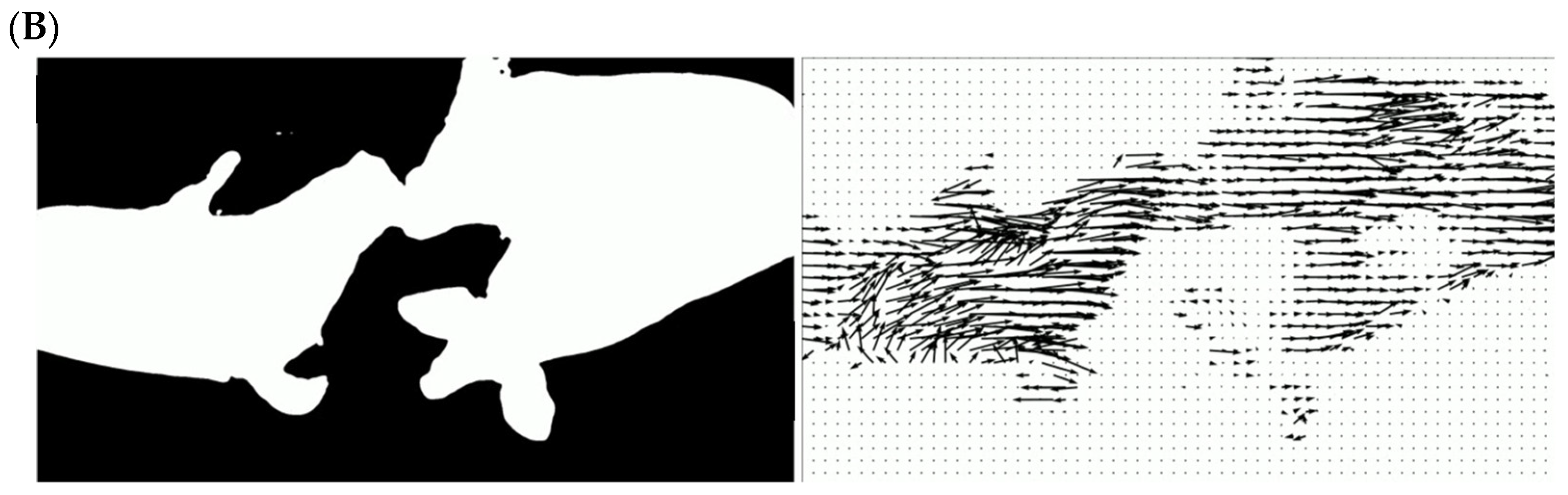 Animals 14 01953 g001b