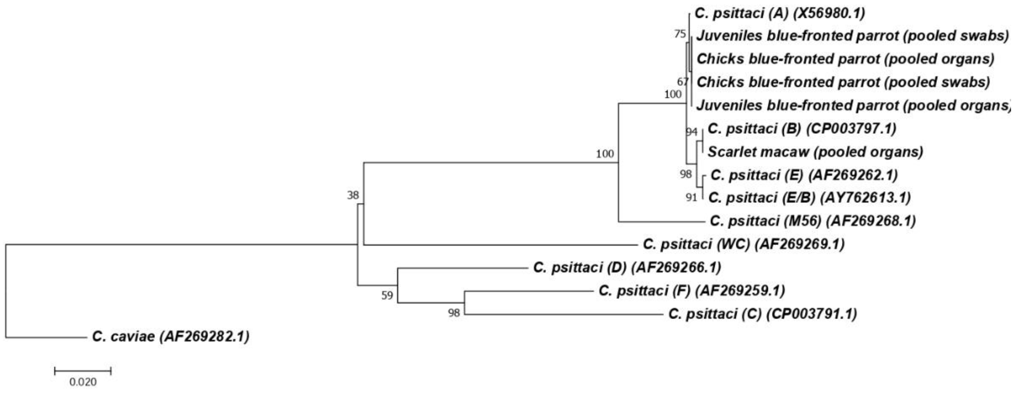 Animals 14 01959 g003 Animals 14 01959 g003