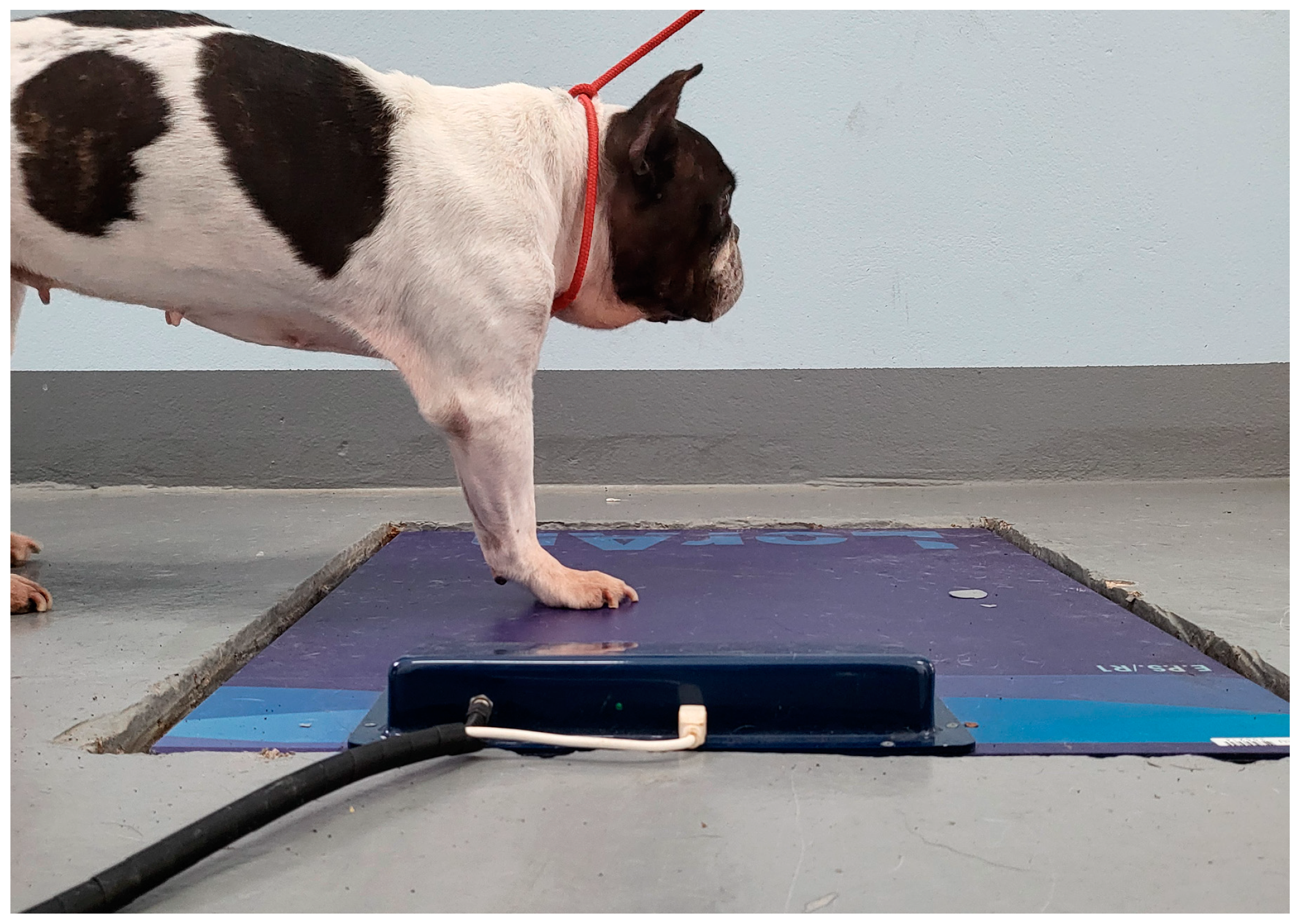 Animals 14 01960 g002 Animals 14 01960 g002