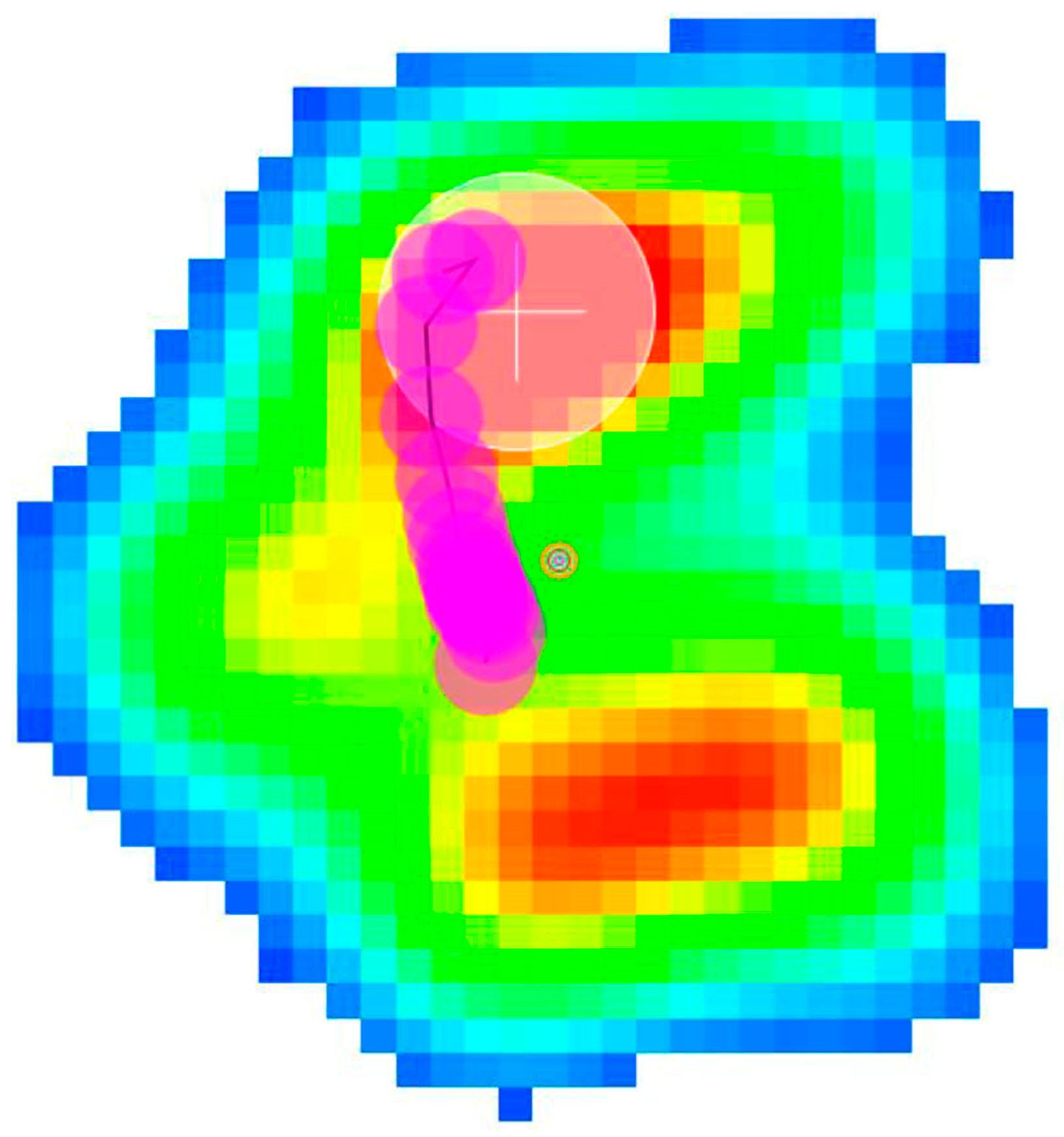 Animals 14 01960 g005 Animals 14 01960 g005