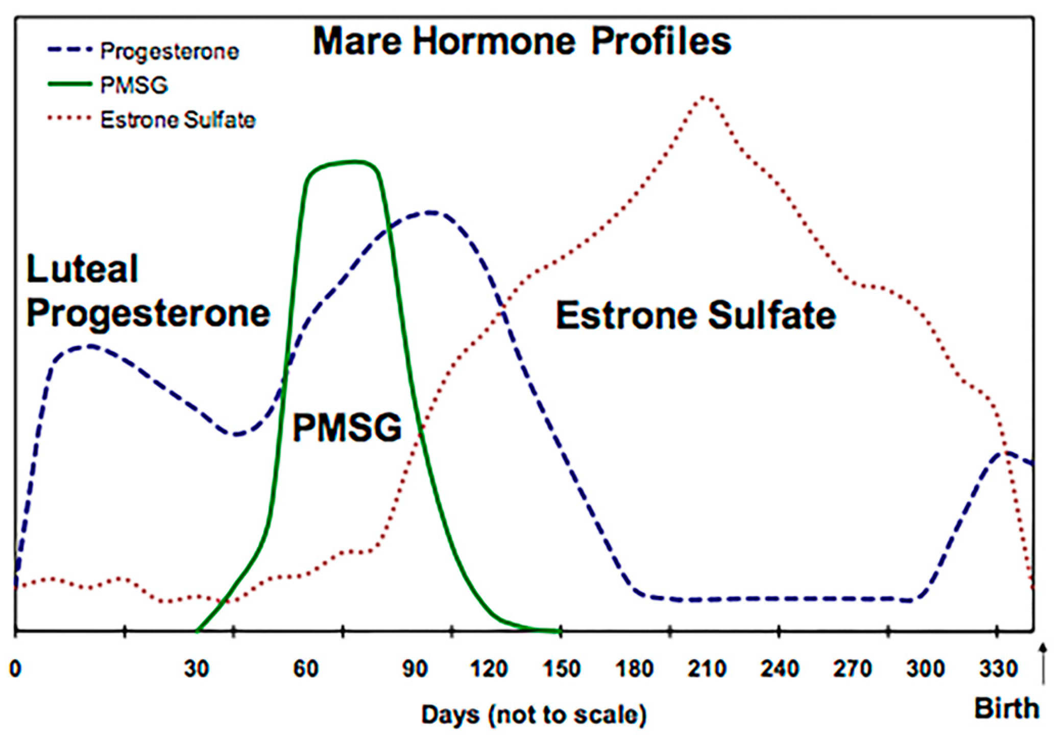 Animals 14 01961 g001 Animals 14 01961 g001