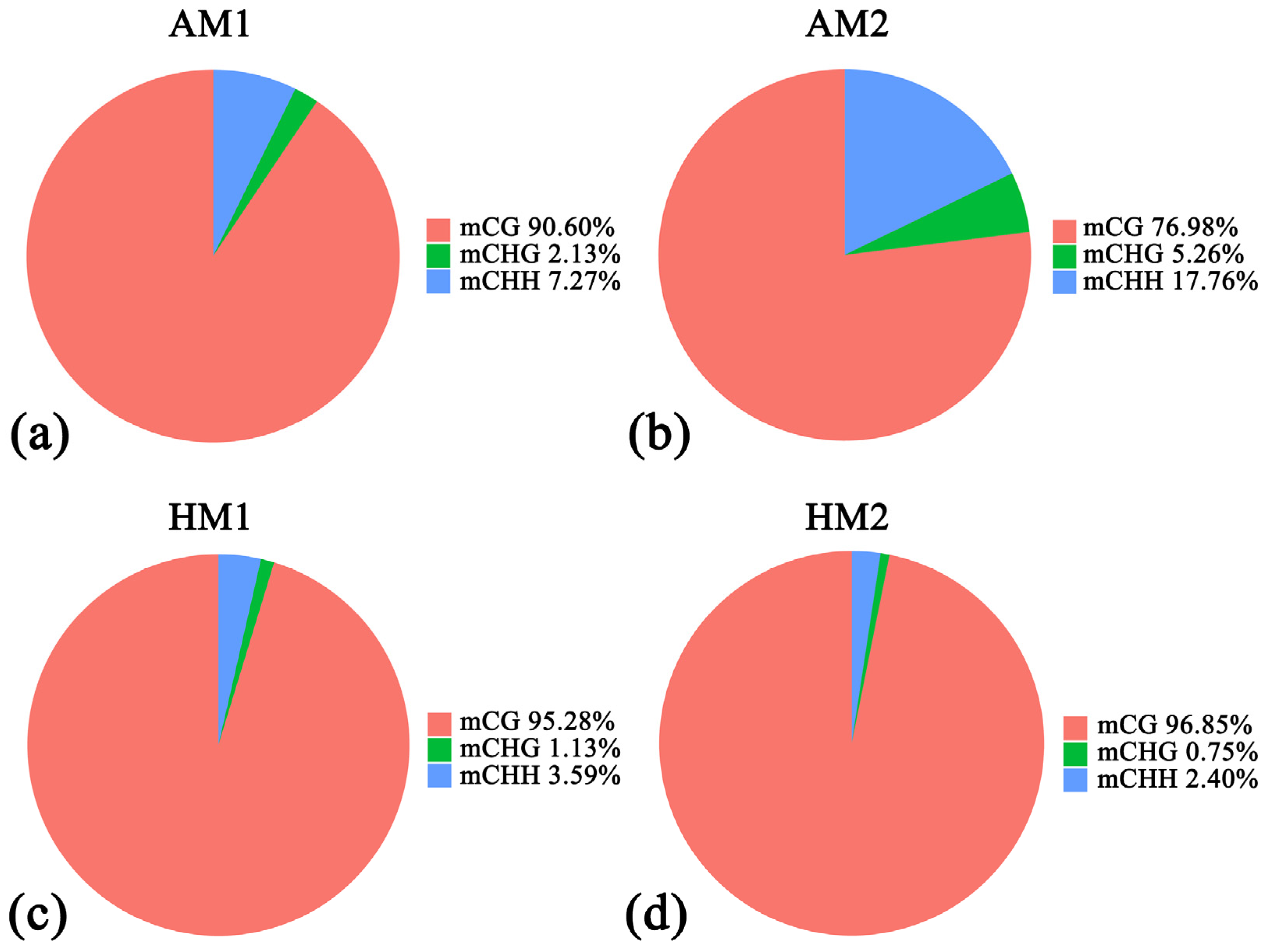 Animals 14 01972 g001