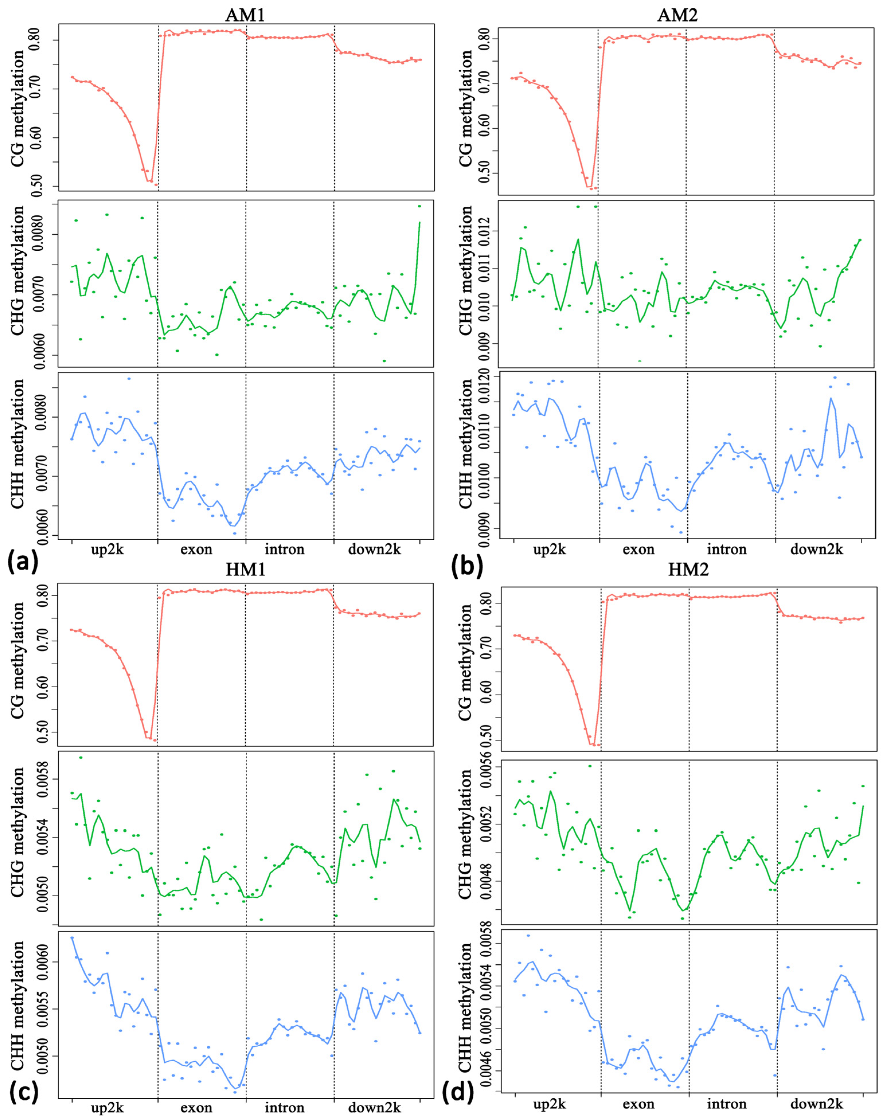 Animals 14 01972 g002